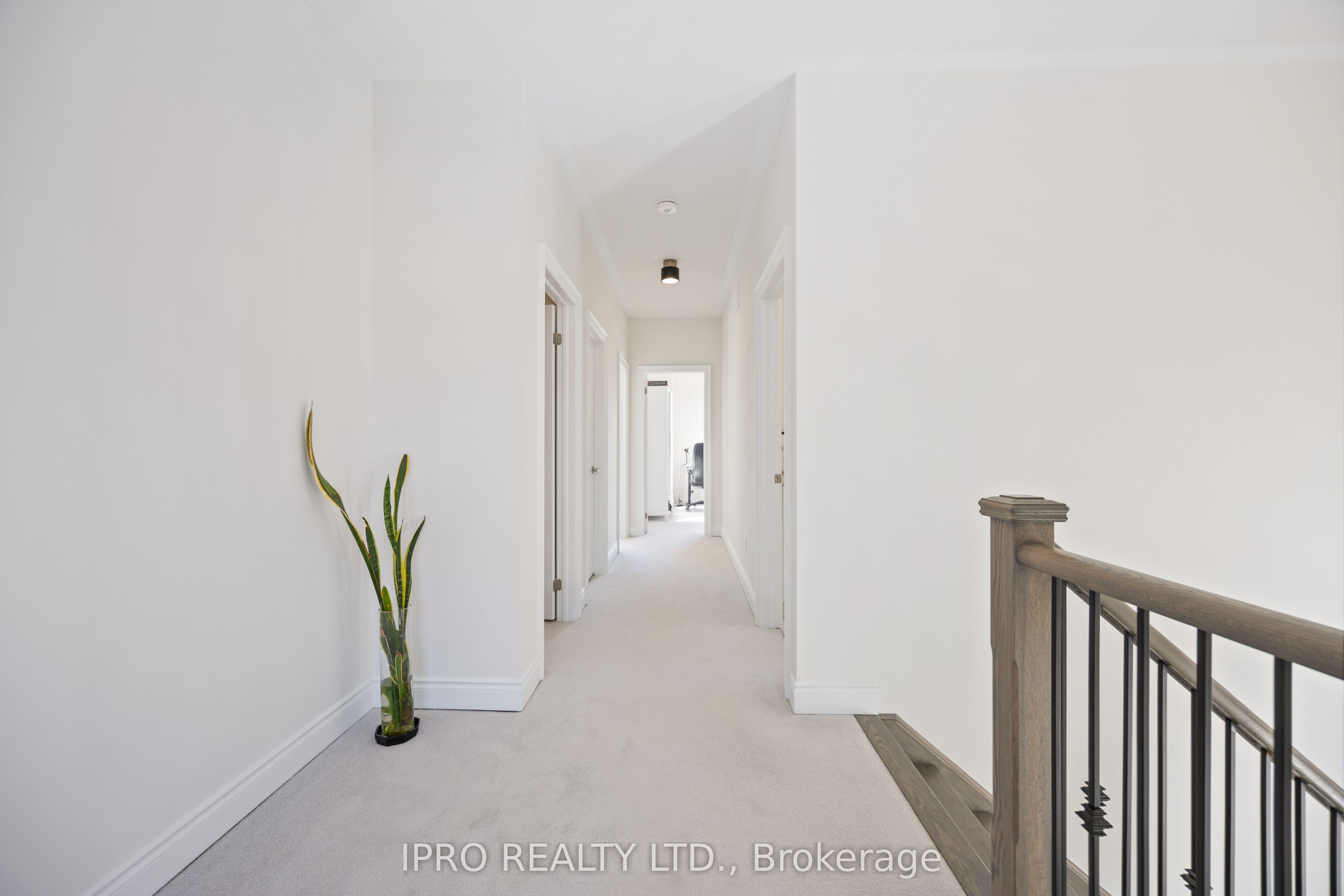 99 Black Walnut Court