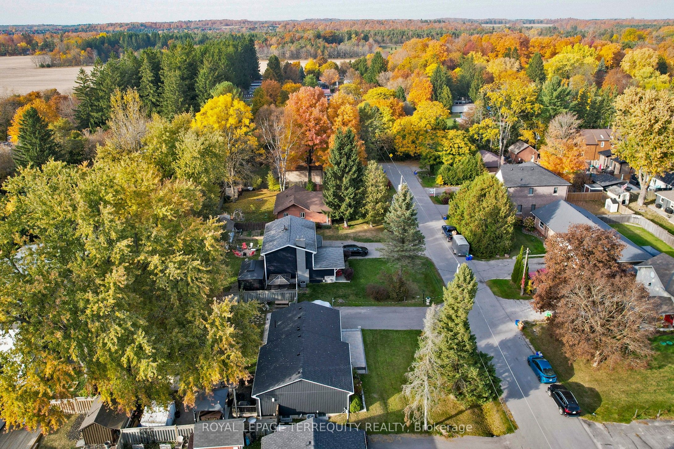 36 Elmvale Boulevard
