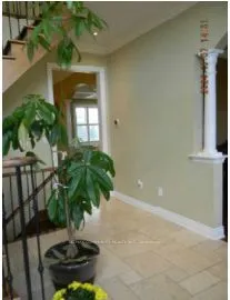65 Ridge Road