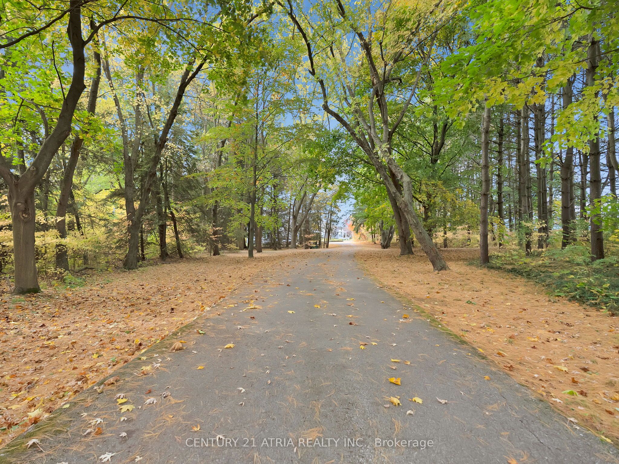 14210 7th Concession Road