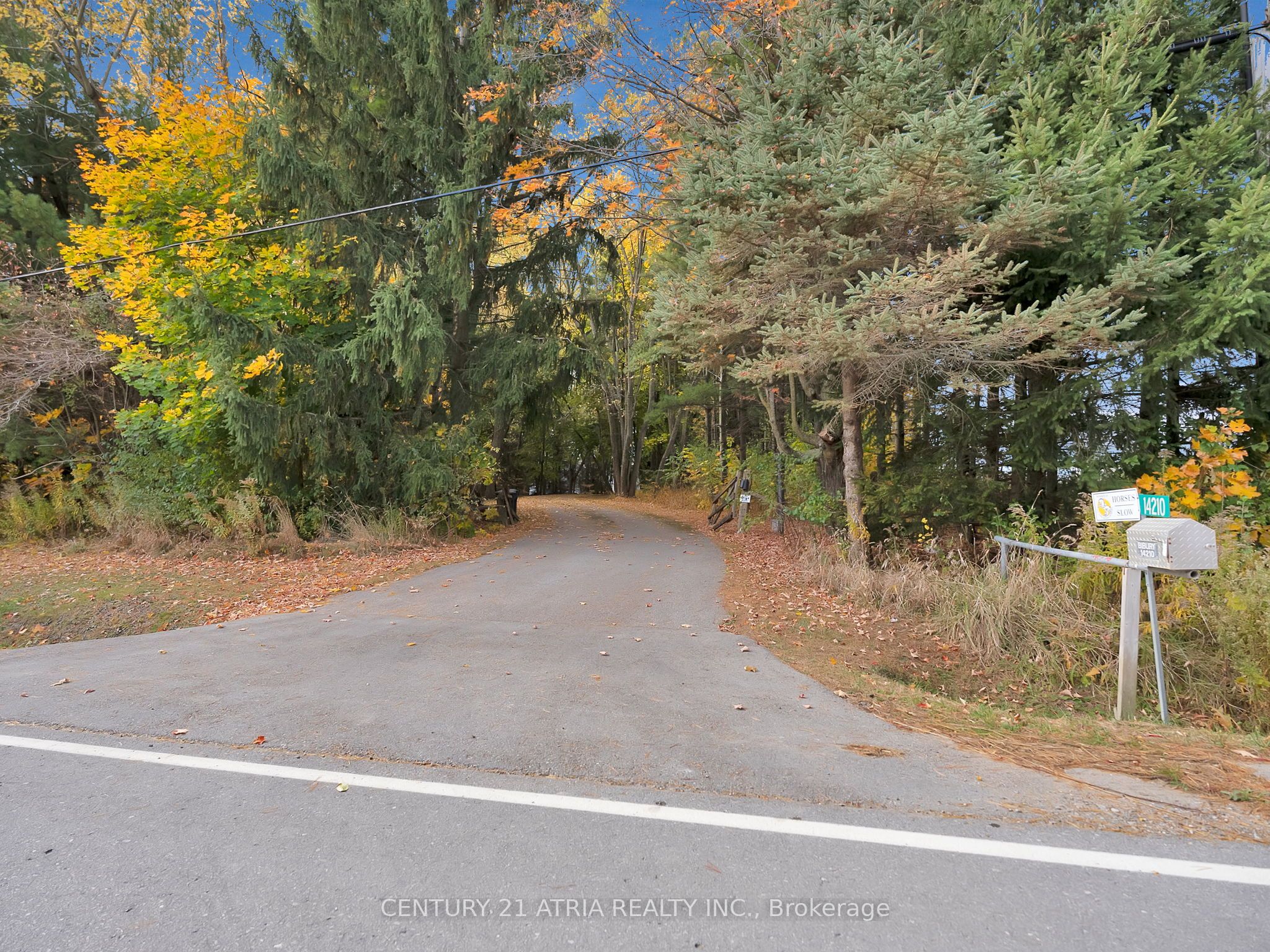 14210 7th Concession Road