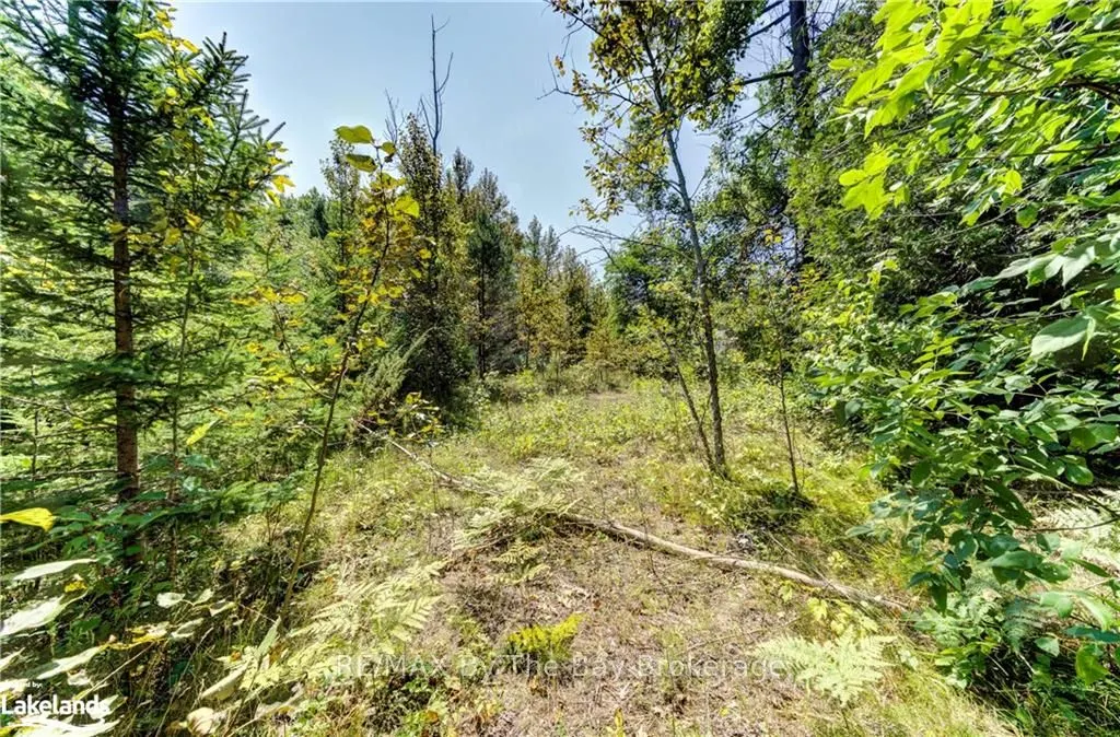 LOT 55 55TH Street S