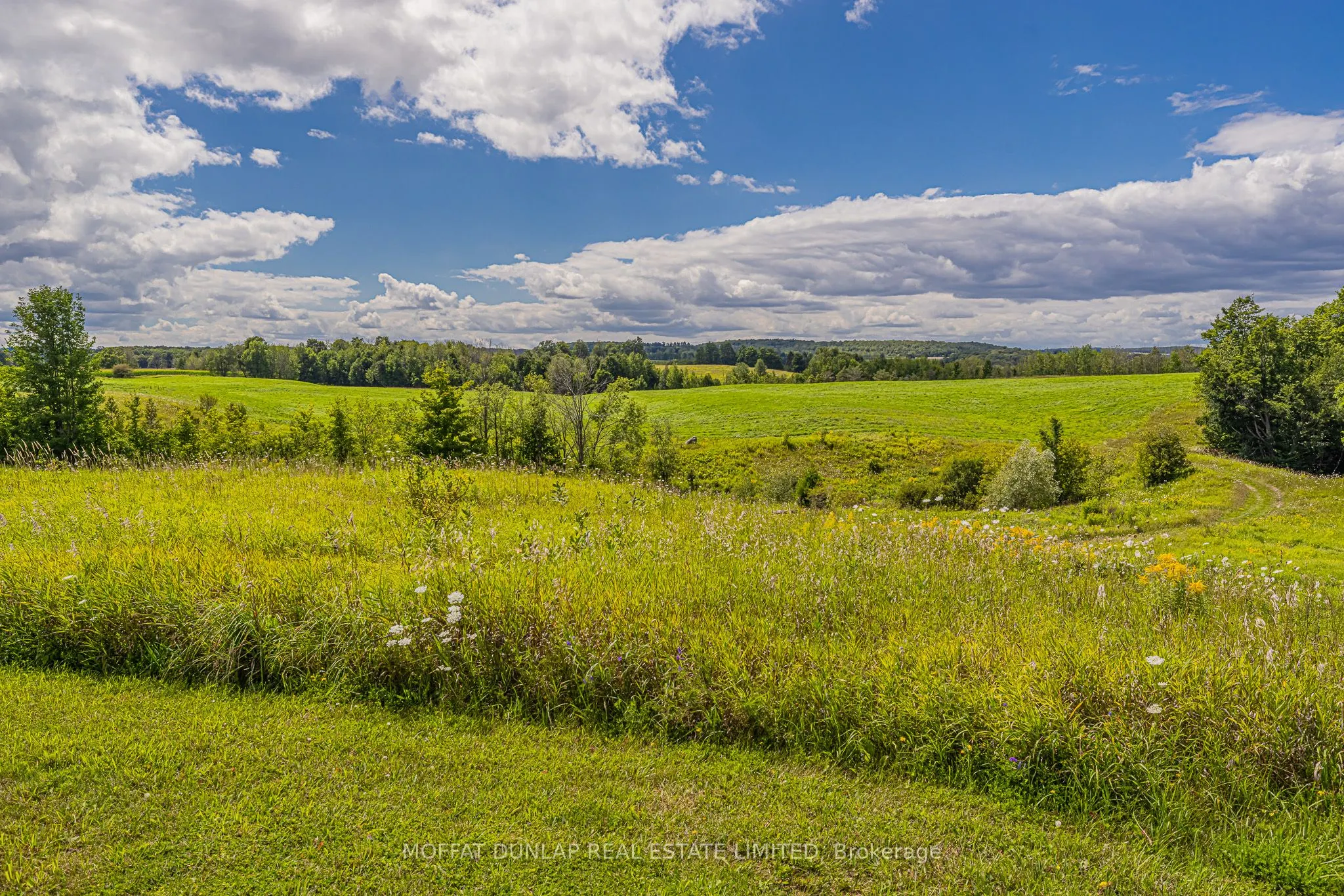 3664 6th Concession Road