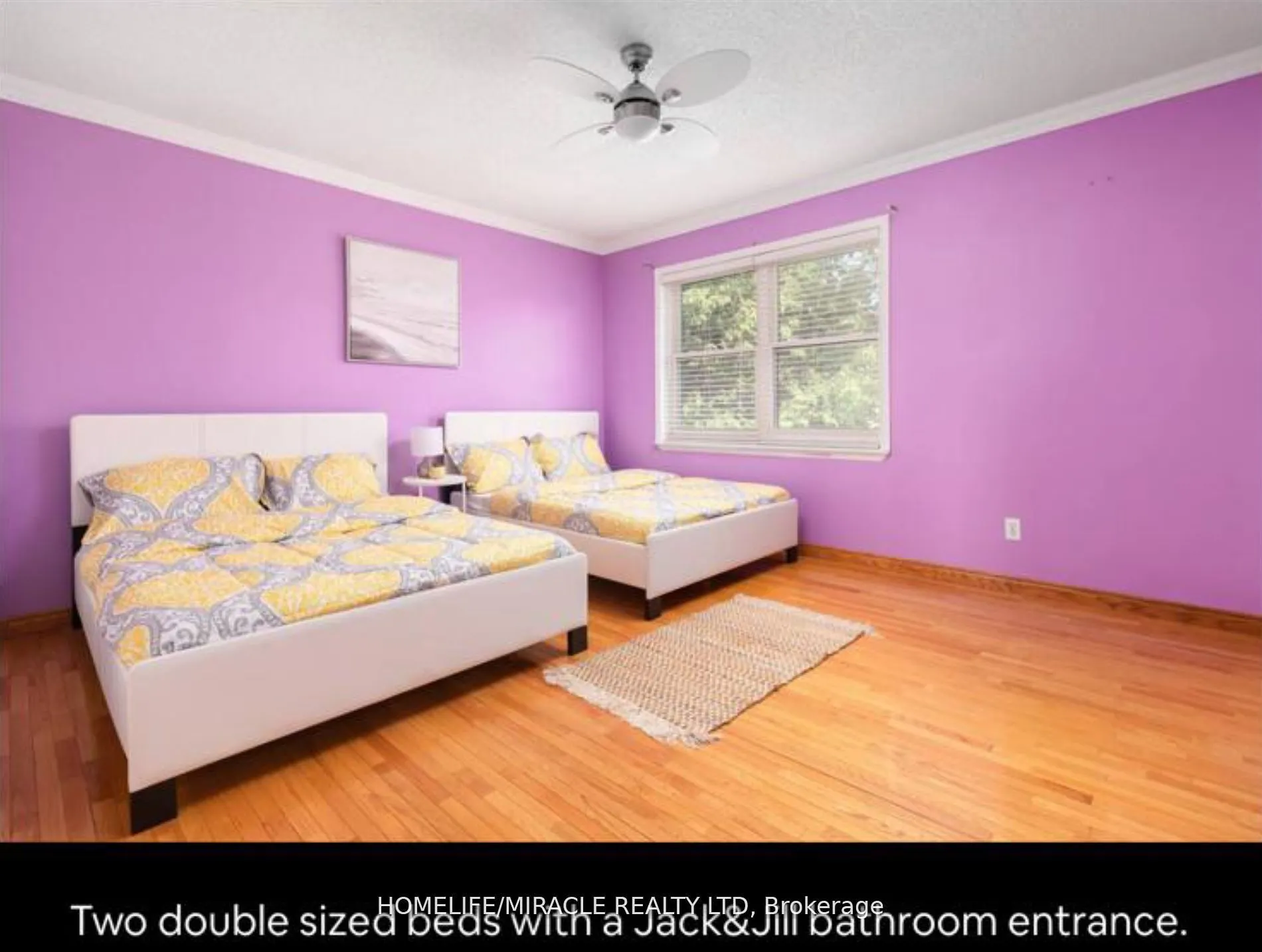 51 Beck Boulevard