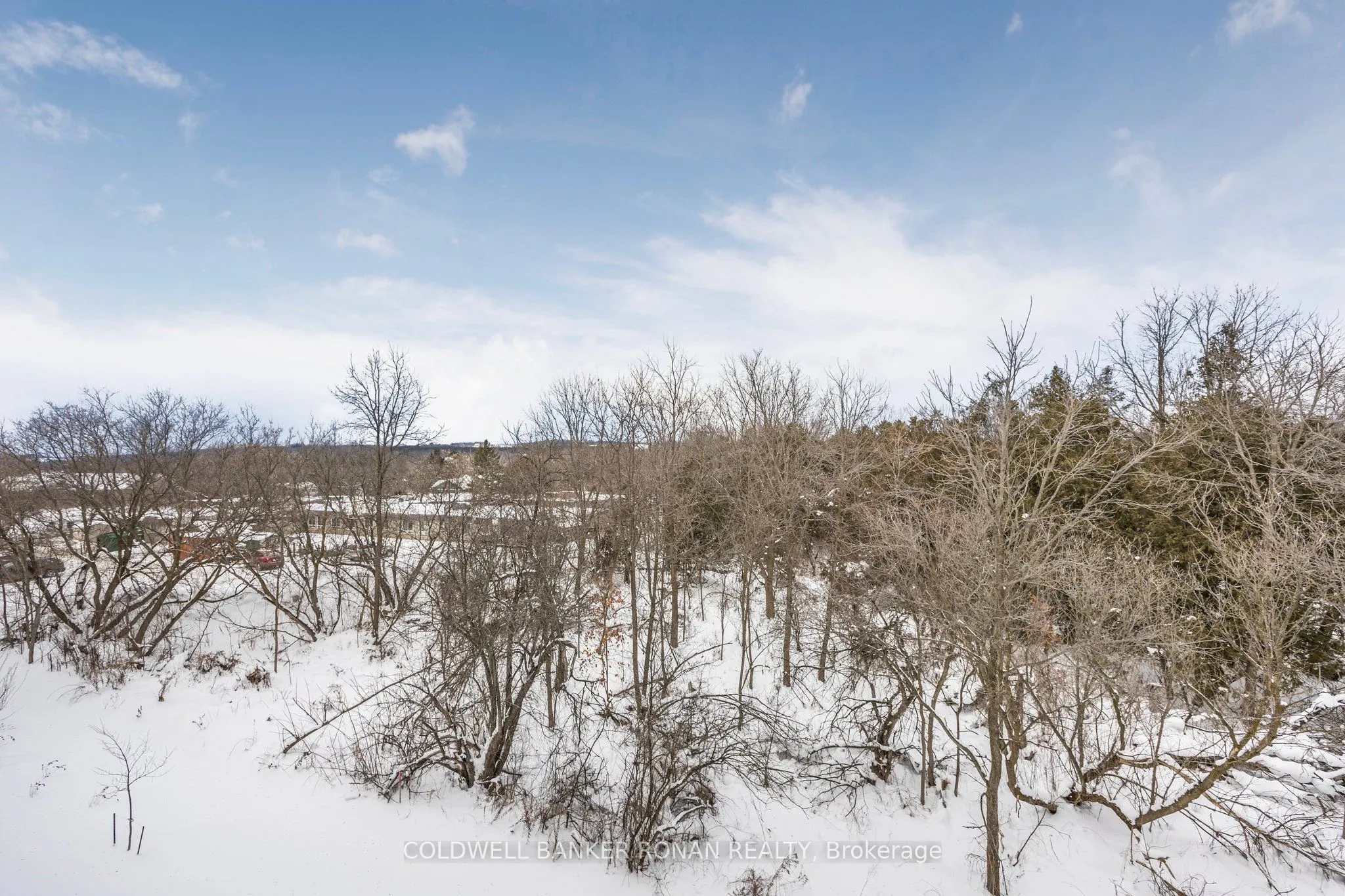 121 Mary Street, #316