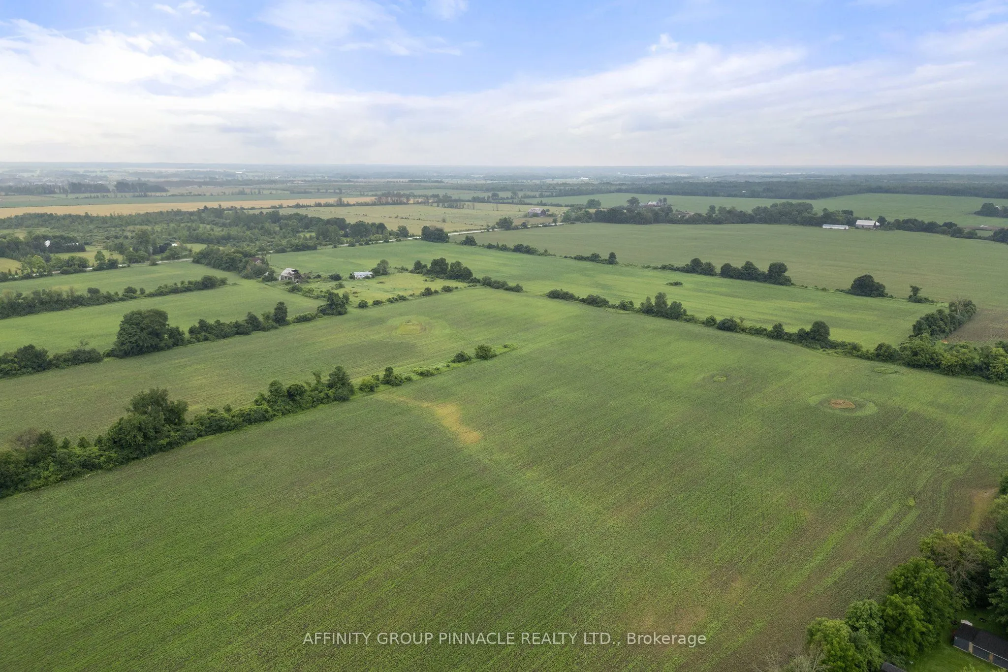 2559 Lakeshore Drive, #2 & 3