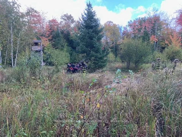 2442 Champlain Road
