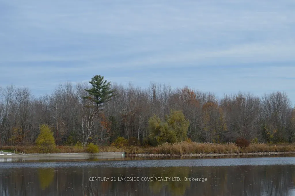 47 Paradise Boulevard