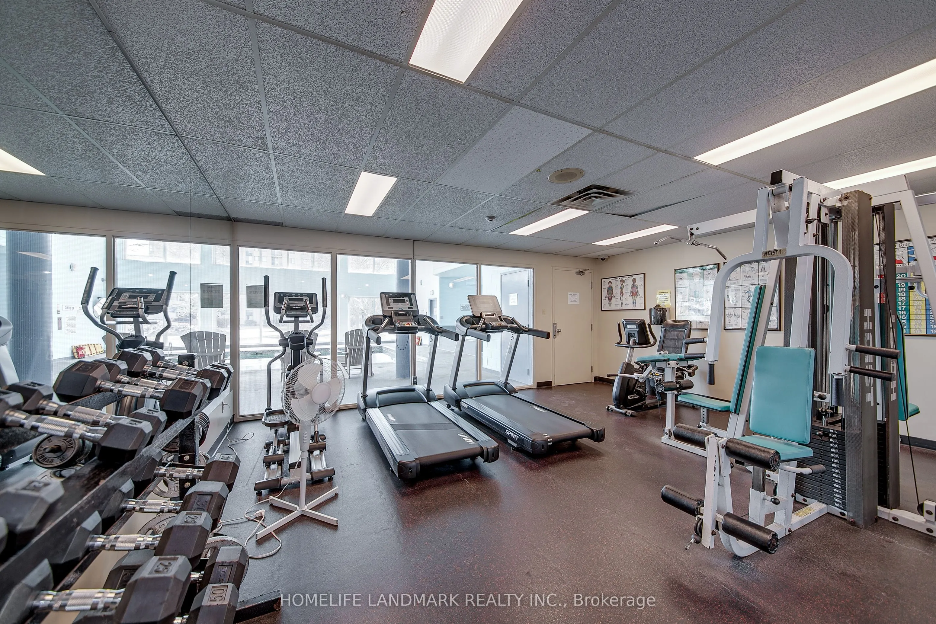 65 Ellen Street #1506
