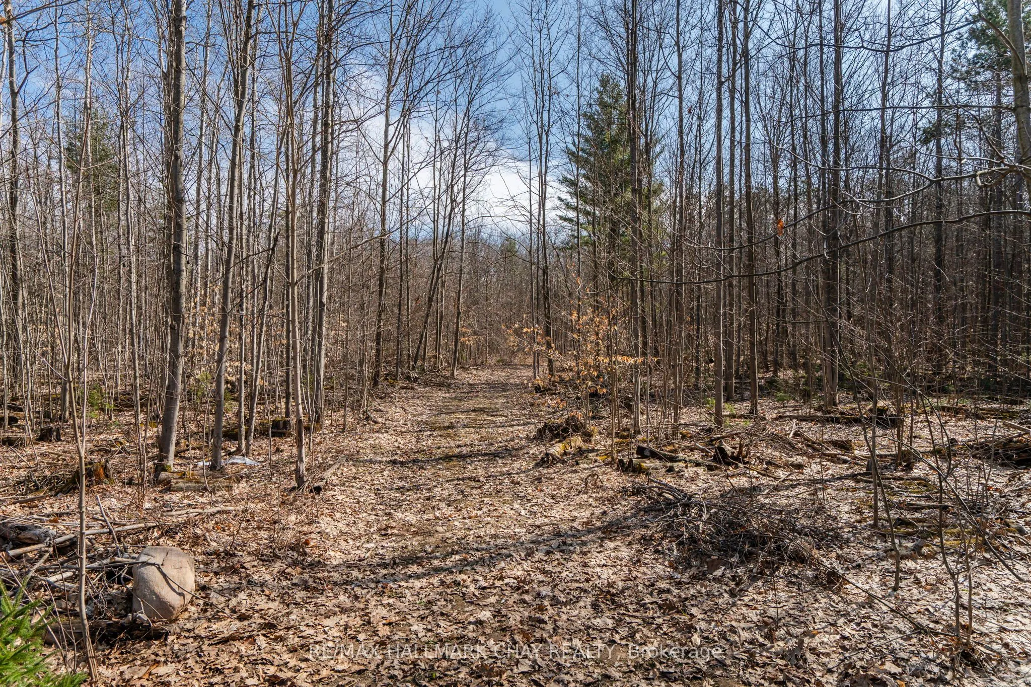 2091 Dwyer Road