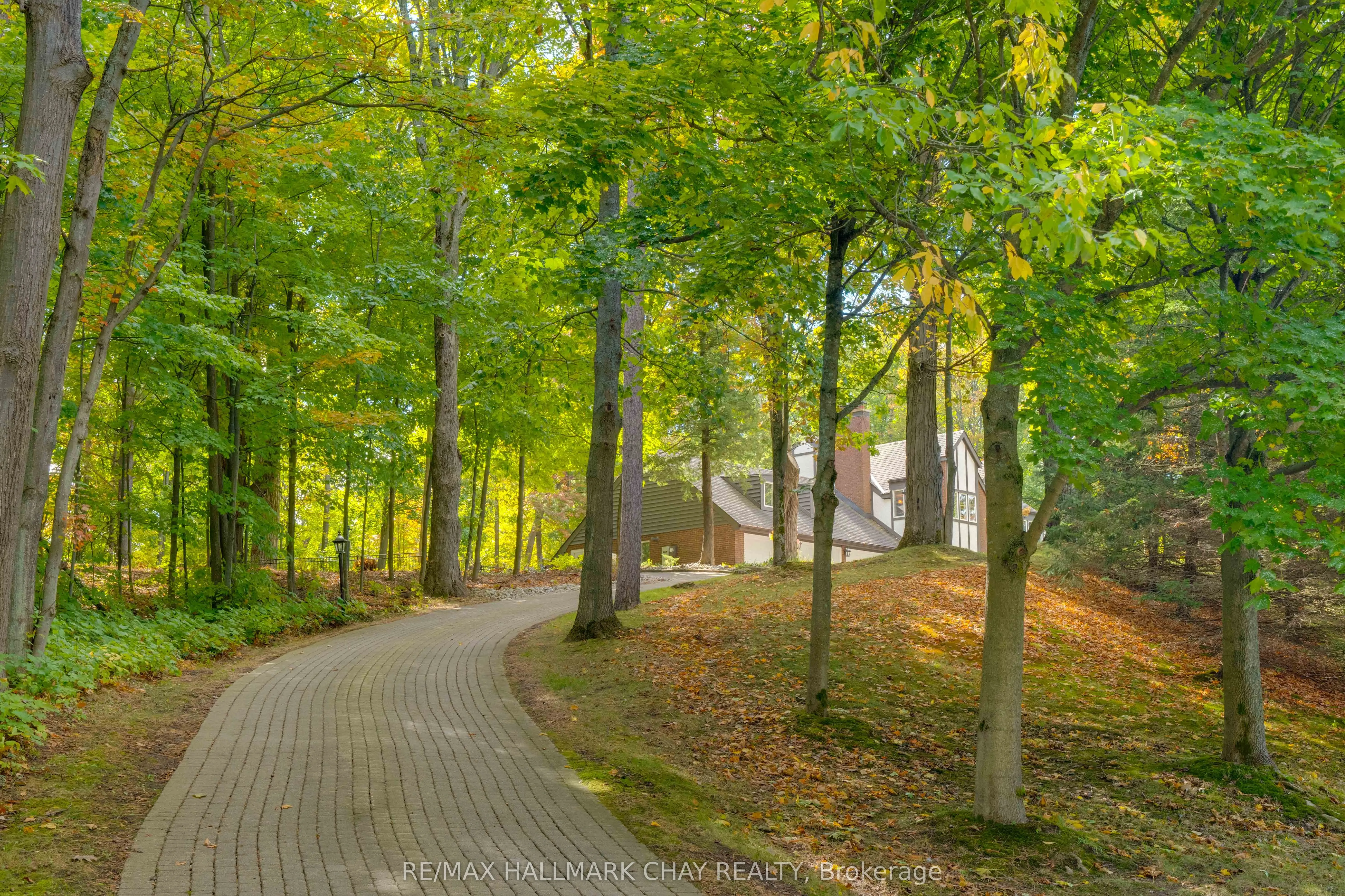 11 Park Trail