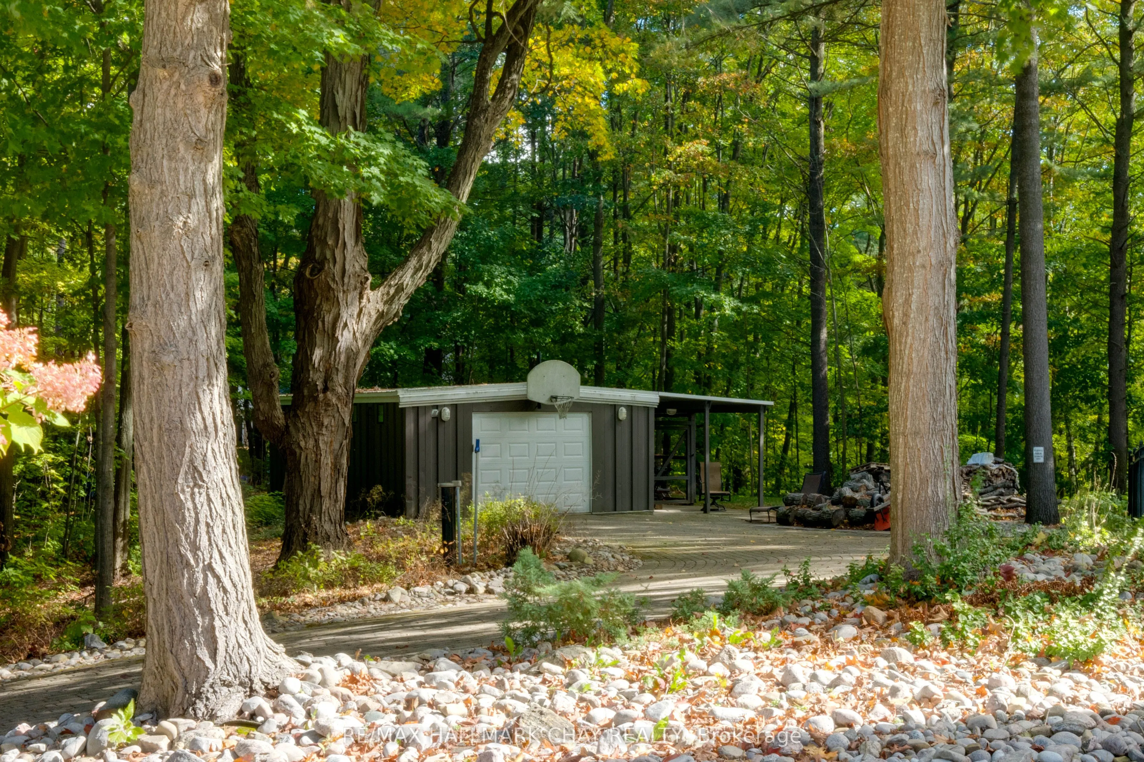 11 Park Trail