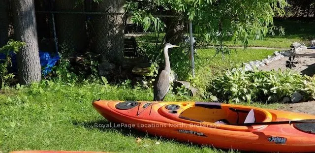 177 Peek-A-Boo Trail