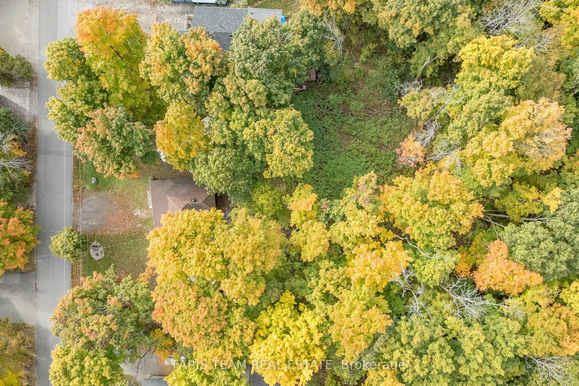 365 Robins Point Road