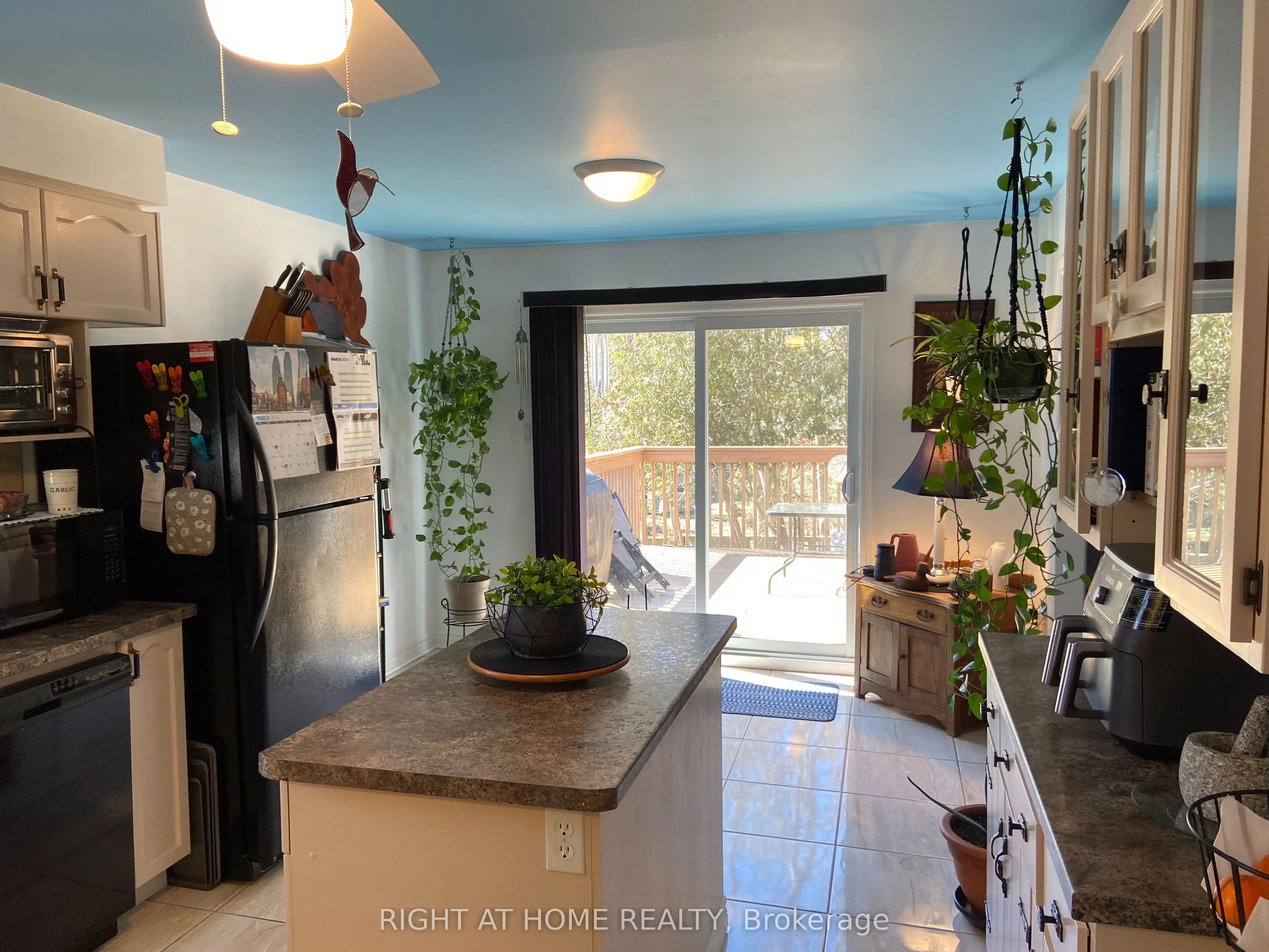 4 Campbell Avenue