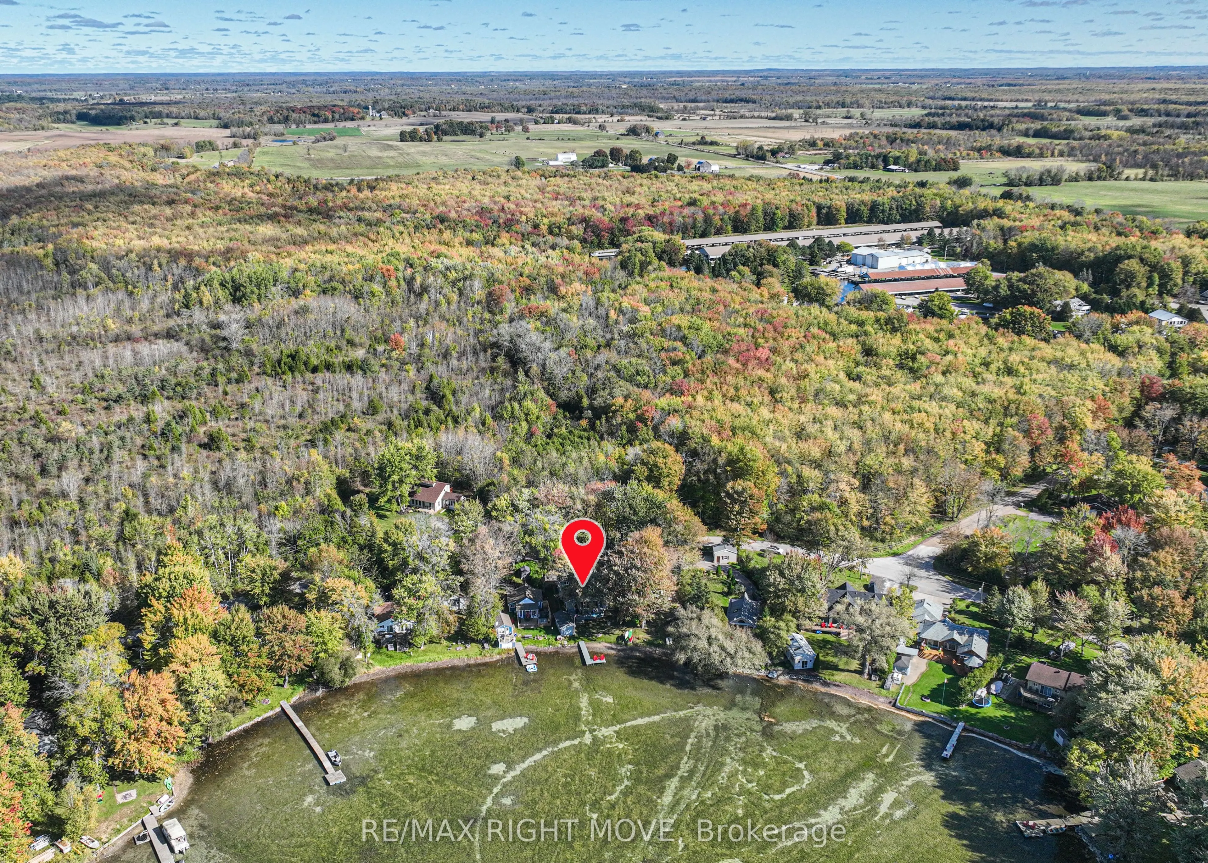 4350 Plum Point Road