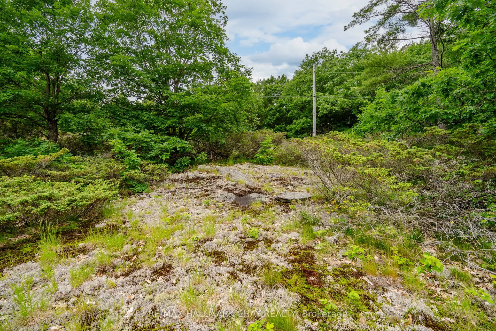 Lot 1 Delta Road