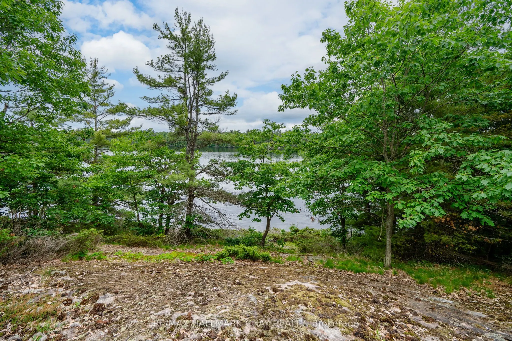 Lot 1 Delta Road