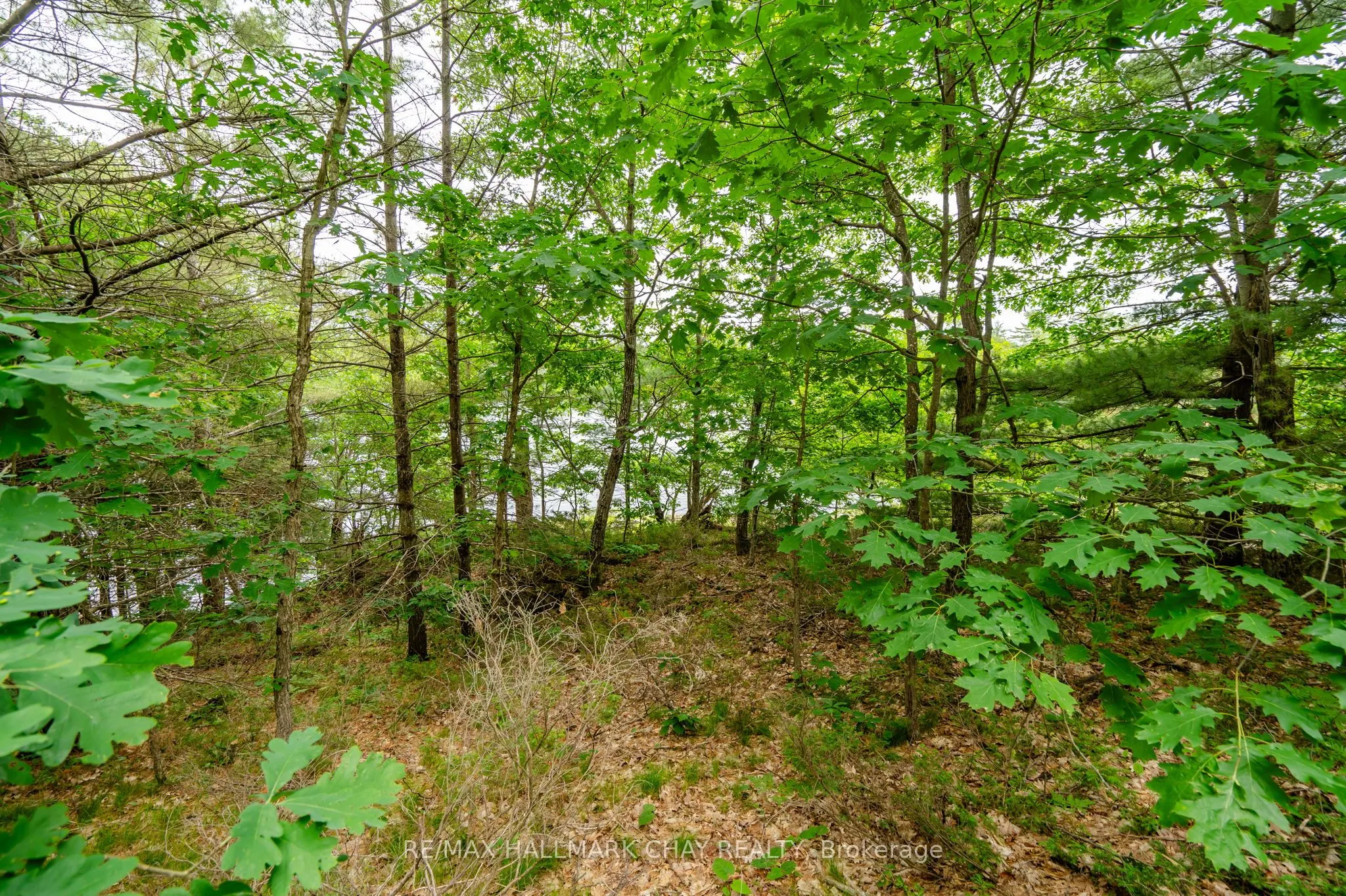 Lot 2 Delta Road