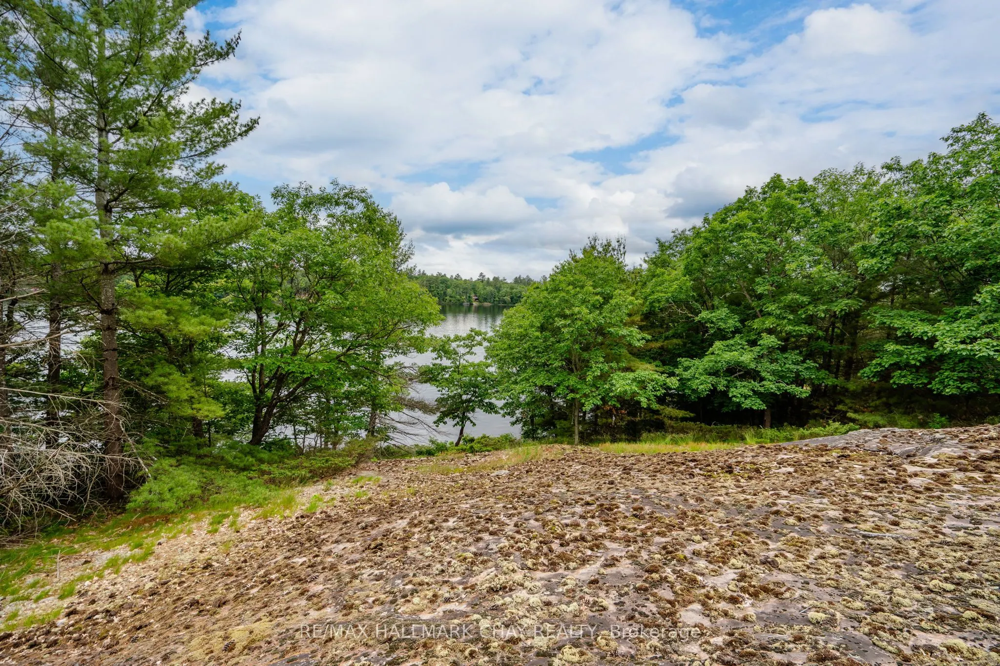 Lot 2 Delta Road