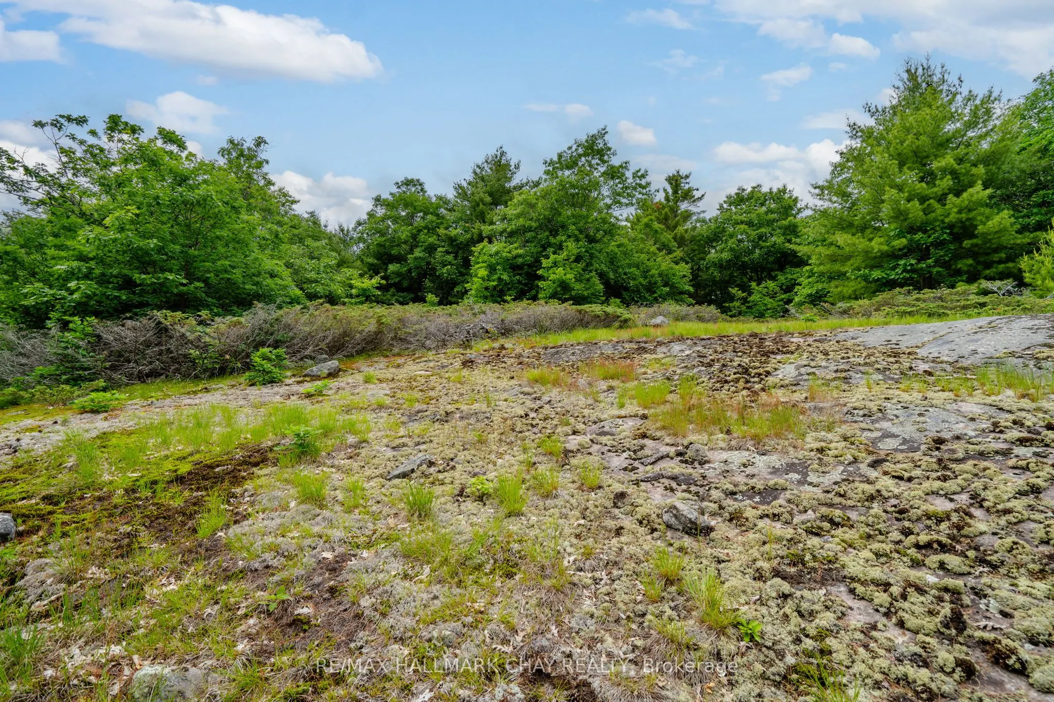 Lot 2 Delta Road