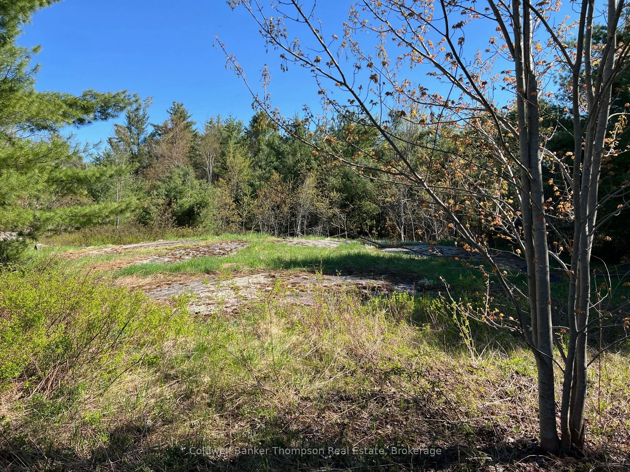 1513 Fairgrounds Road