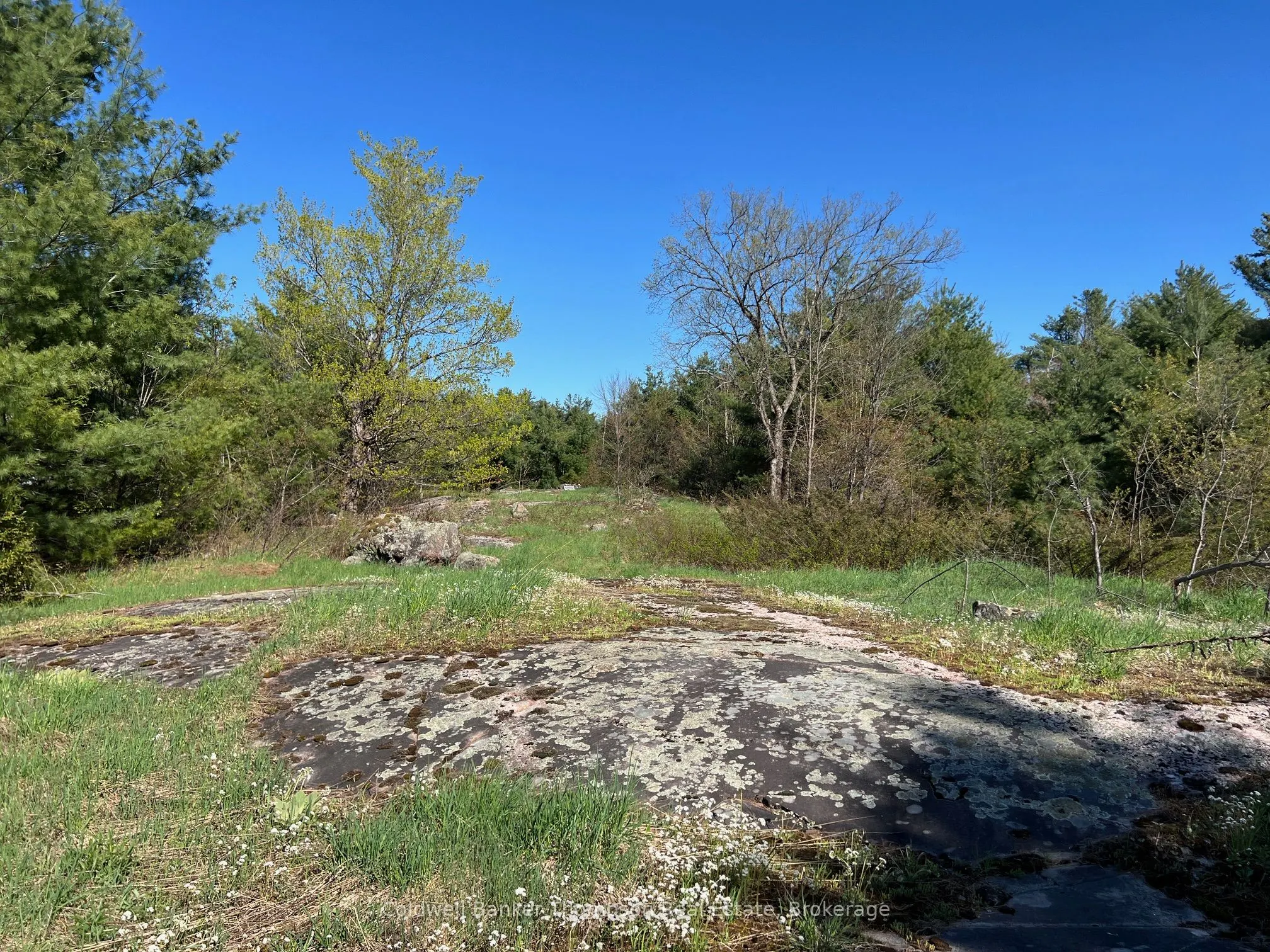 1513 Fairgrounds Road