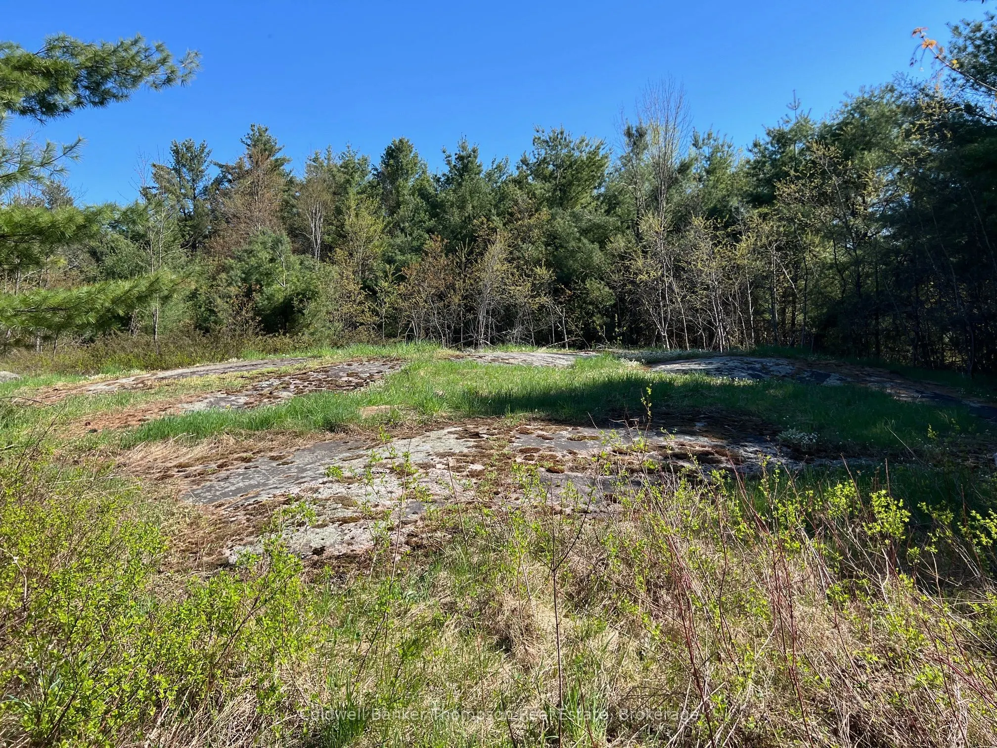 1513 Fairgrounds Road
