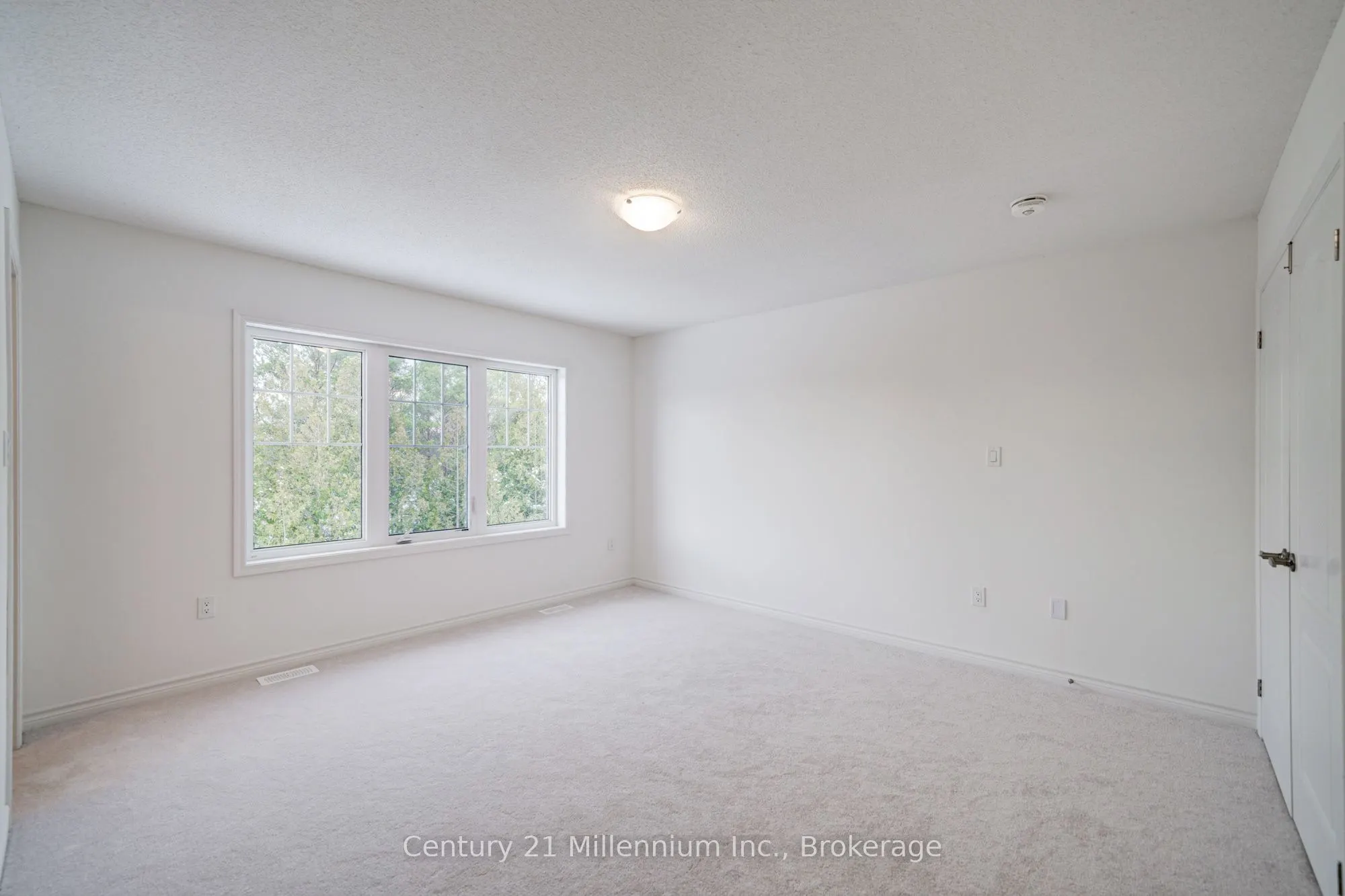 13 Abby Drive