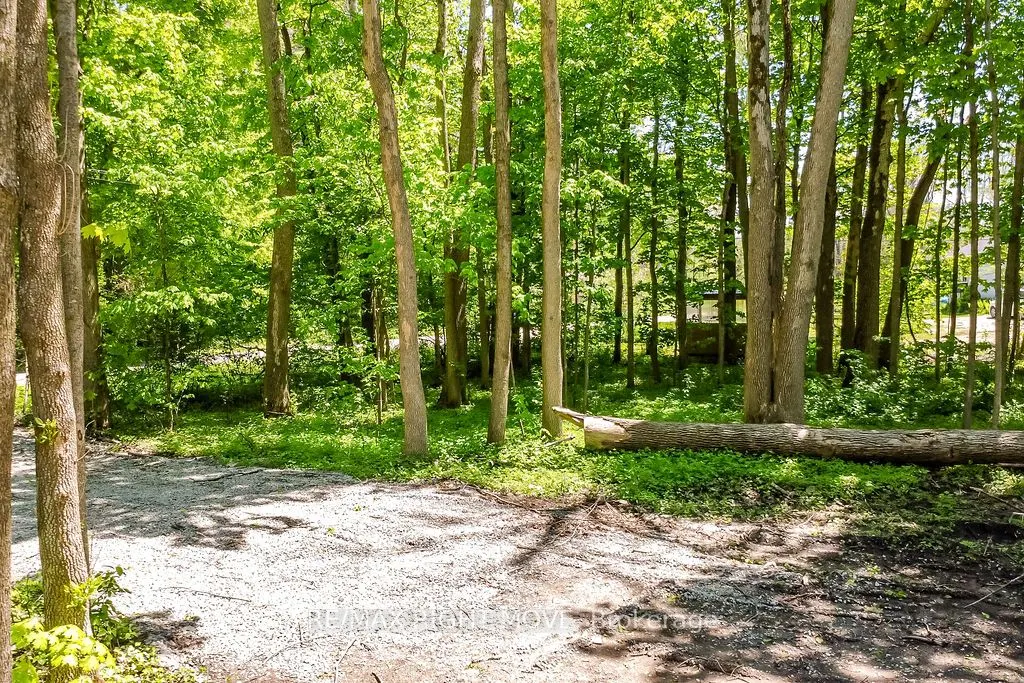 1656 Trader Cowan Road