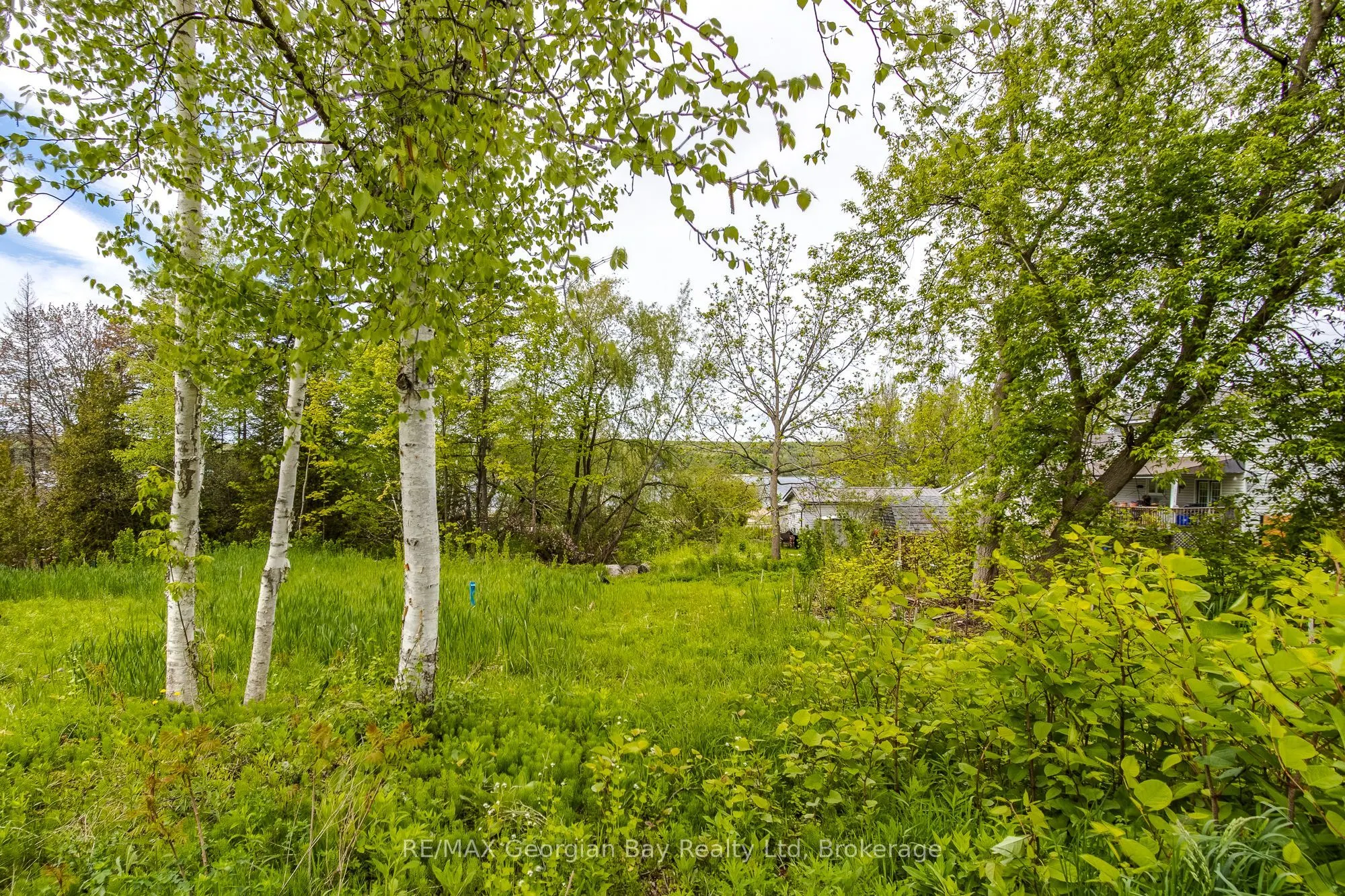 63 Nettleton Drive