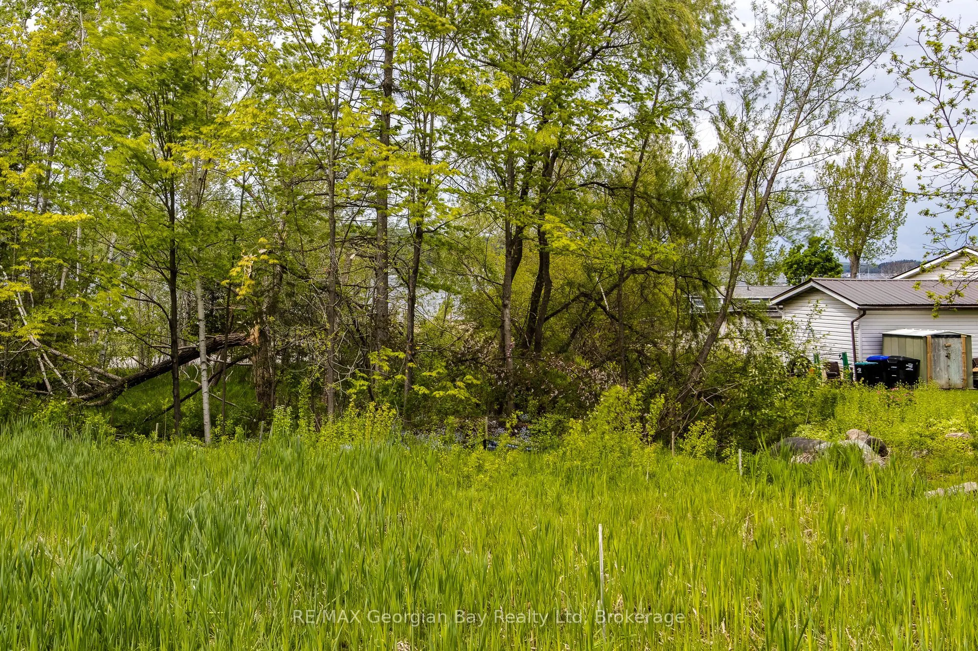 63 Nettleton Drive