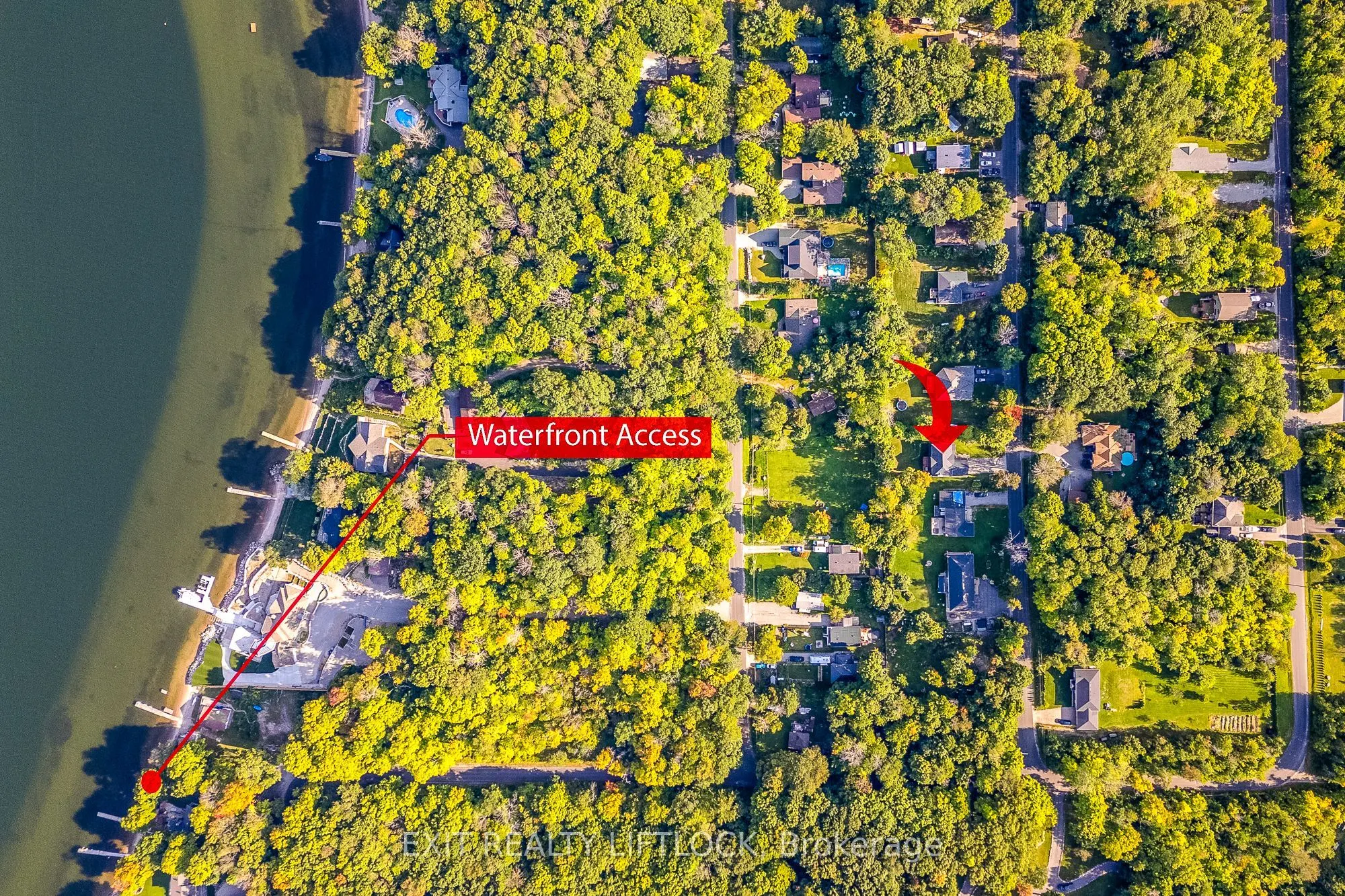 77 Polish Avenue