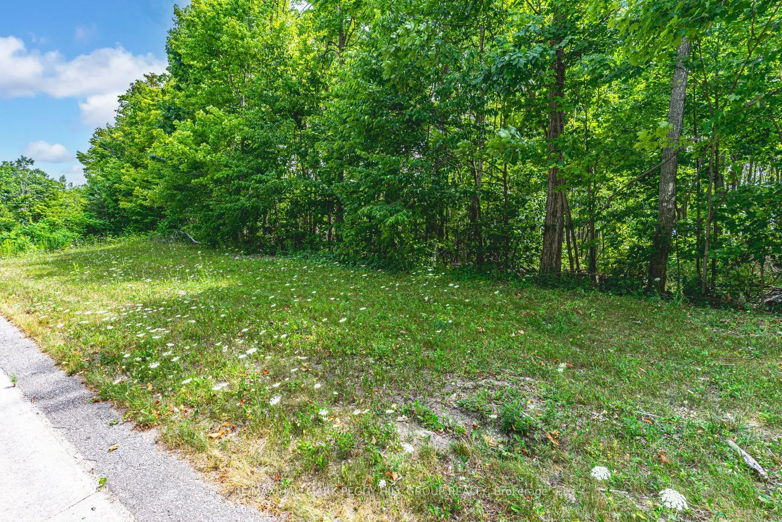 17 Maple Ridge Road