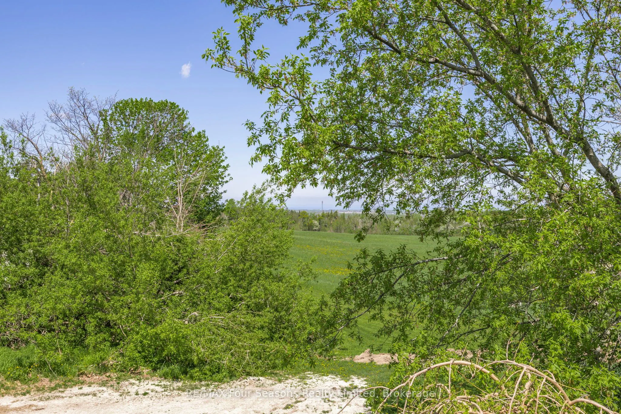 3 Sydenham Trail E