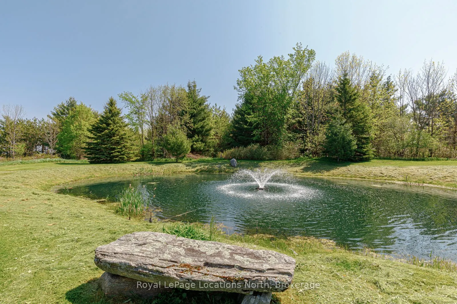 9197 County 91 Road