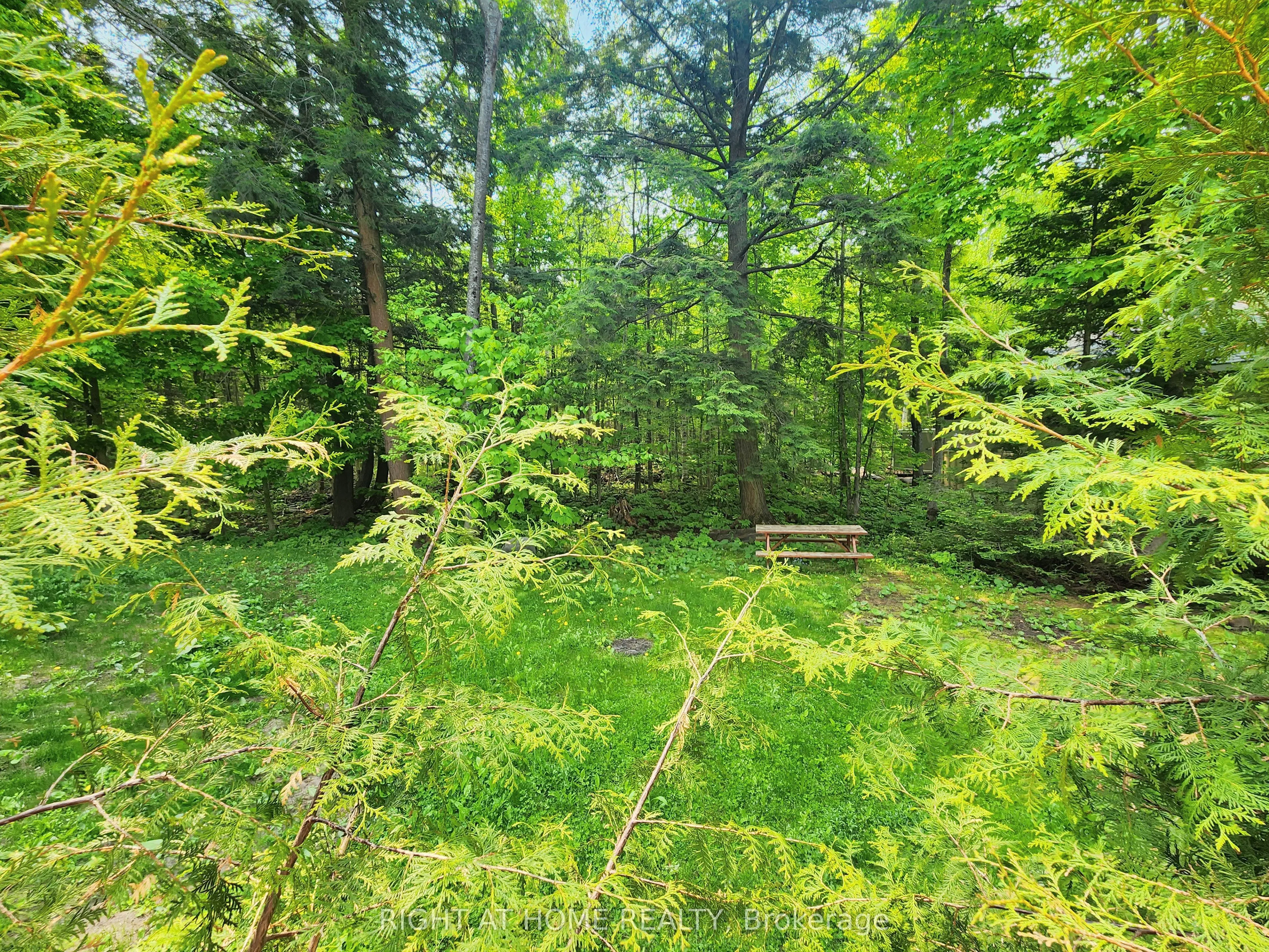 2384 Champlain Road