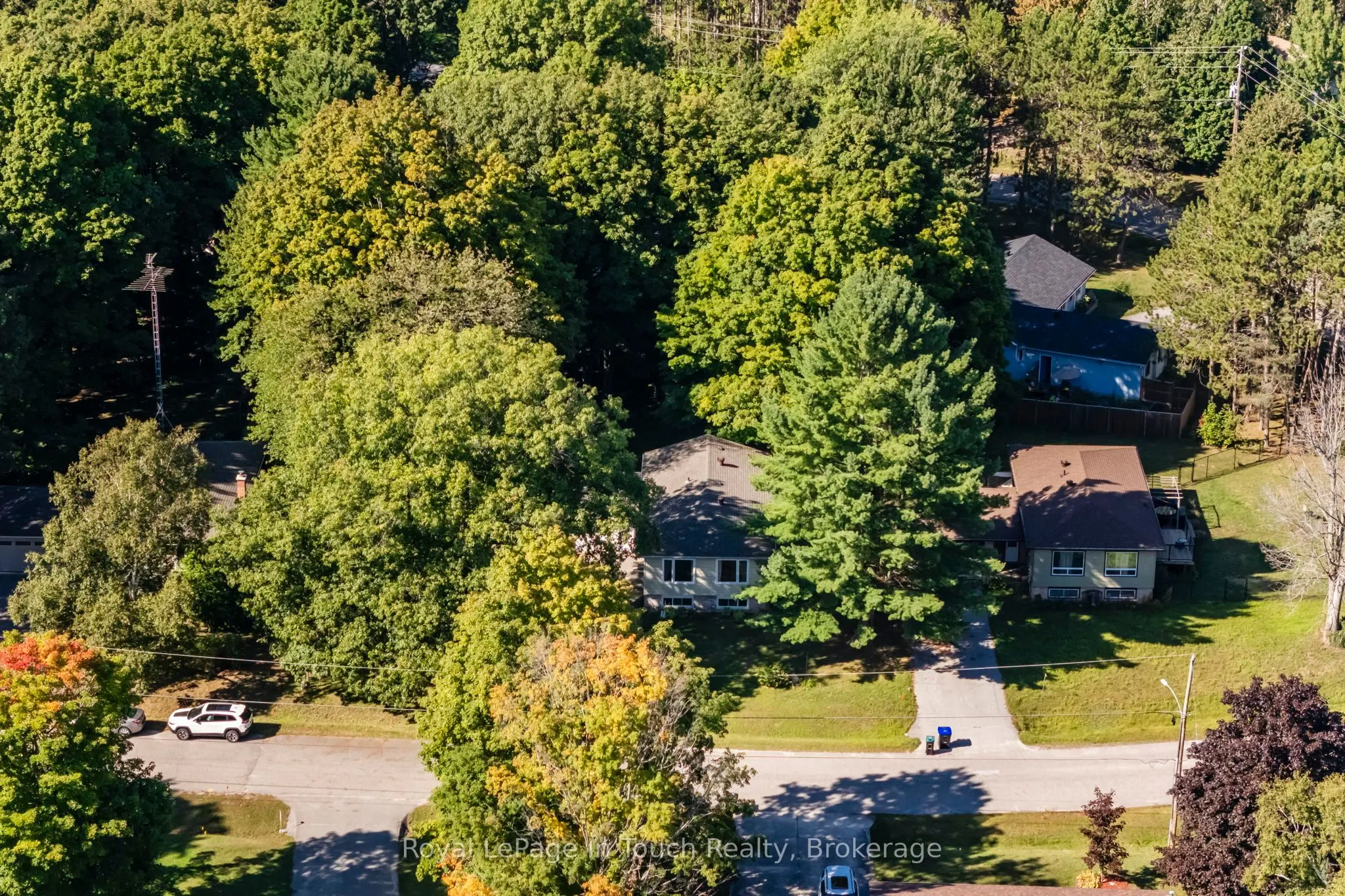 35 Dorcas Avenue