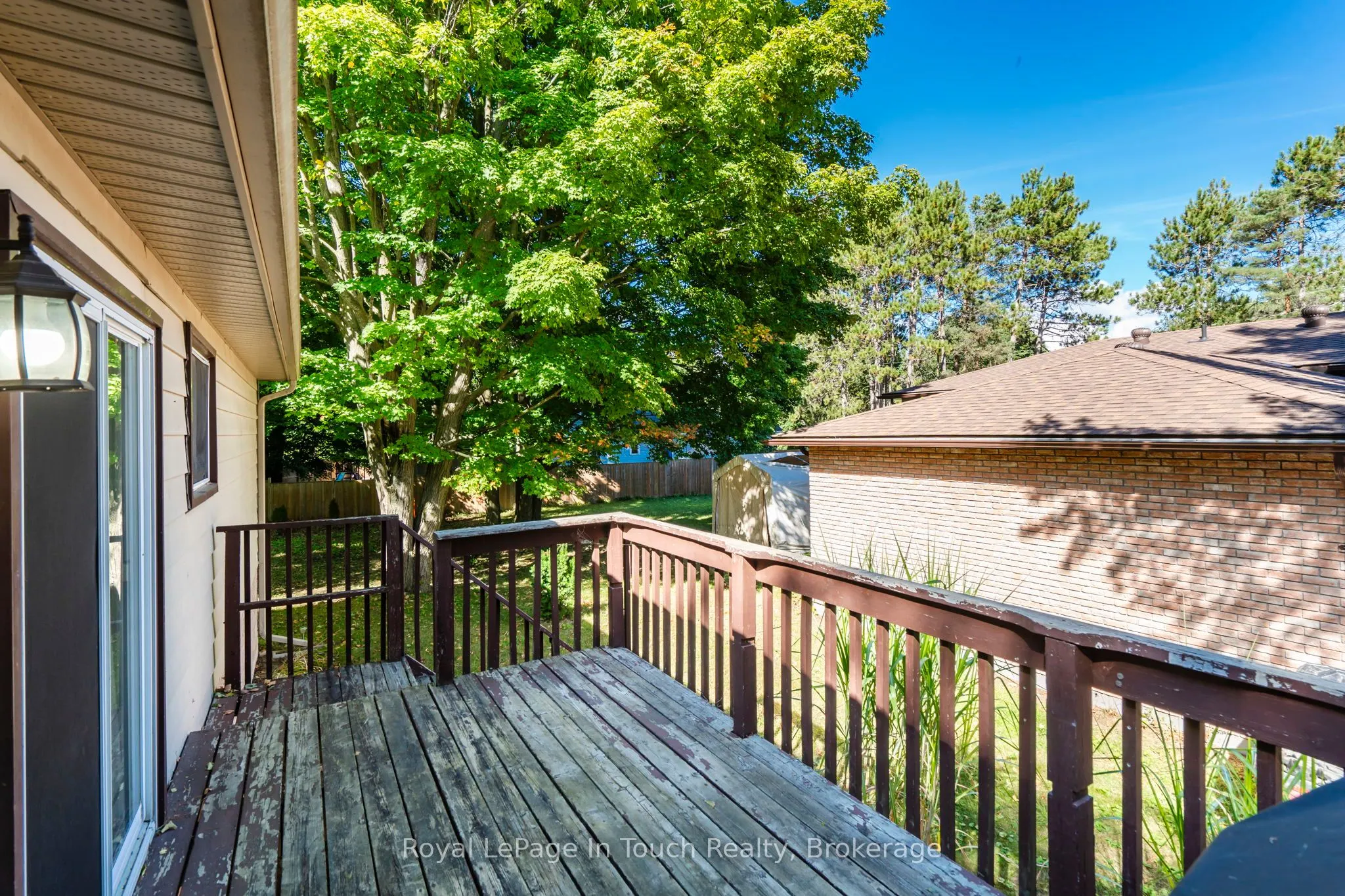35 Dorcas Avenue