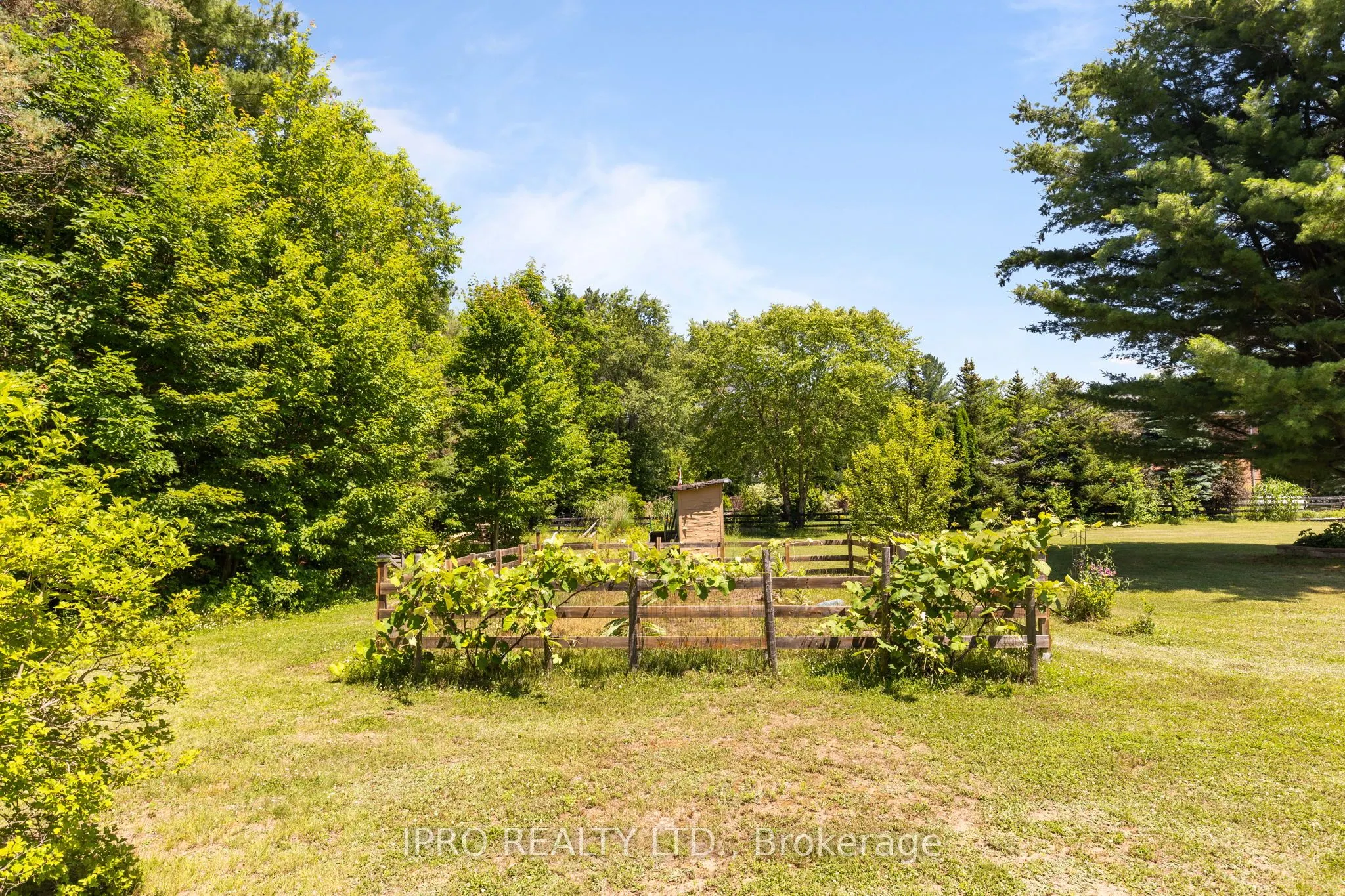 5502 SUNNIDALE TOSORONTIO TOWNLINE