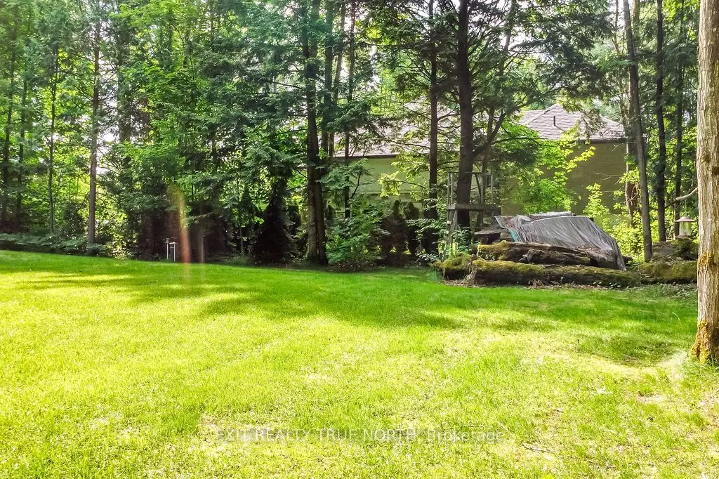 22 Marni Lane