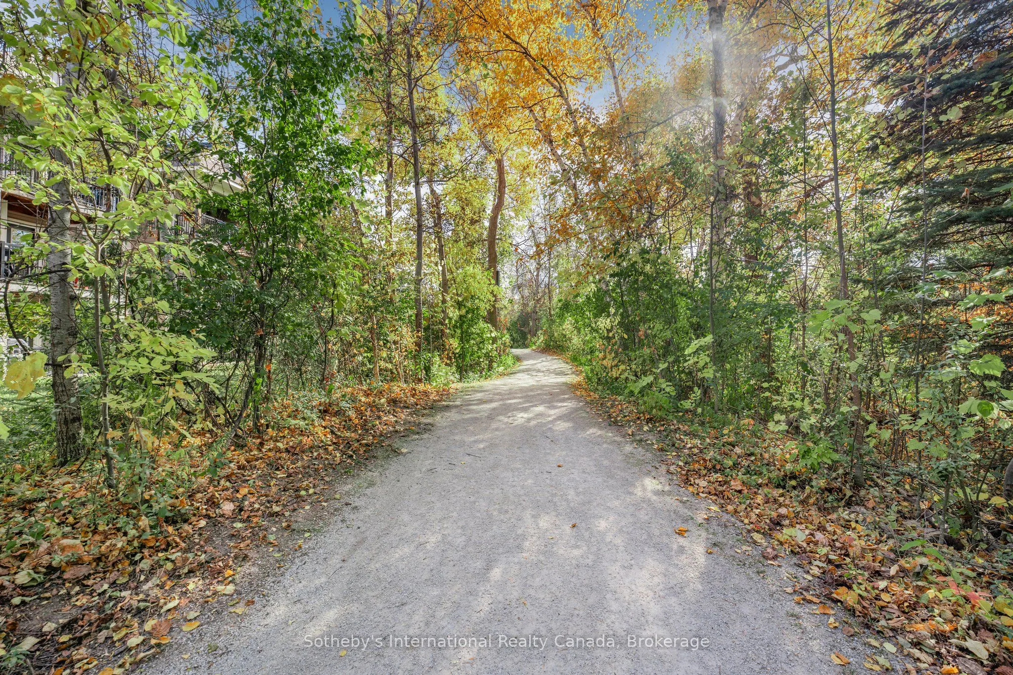6 Brandy Lane Drive #105