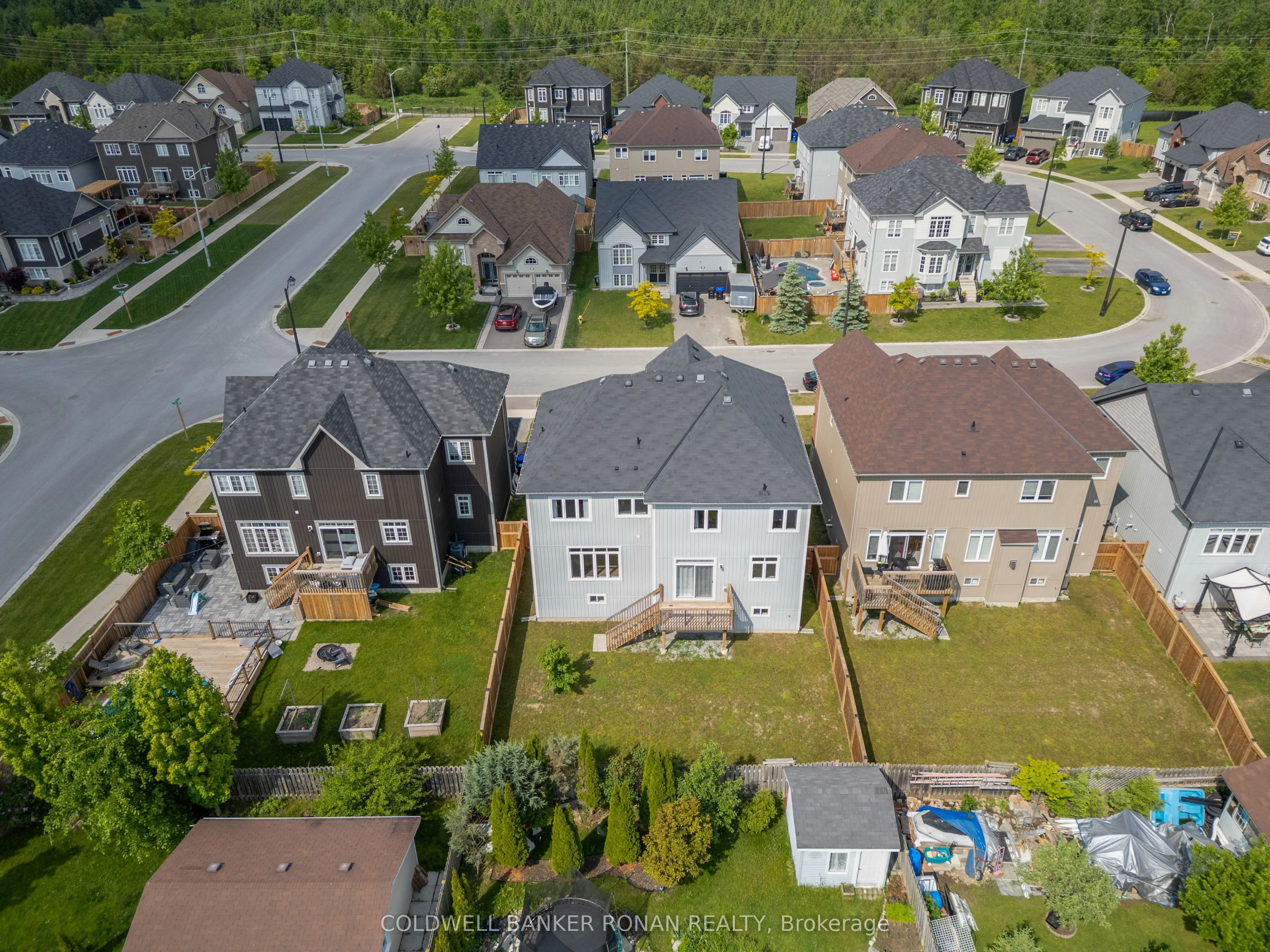 203 Roy Drive