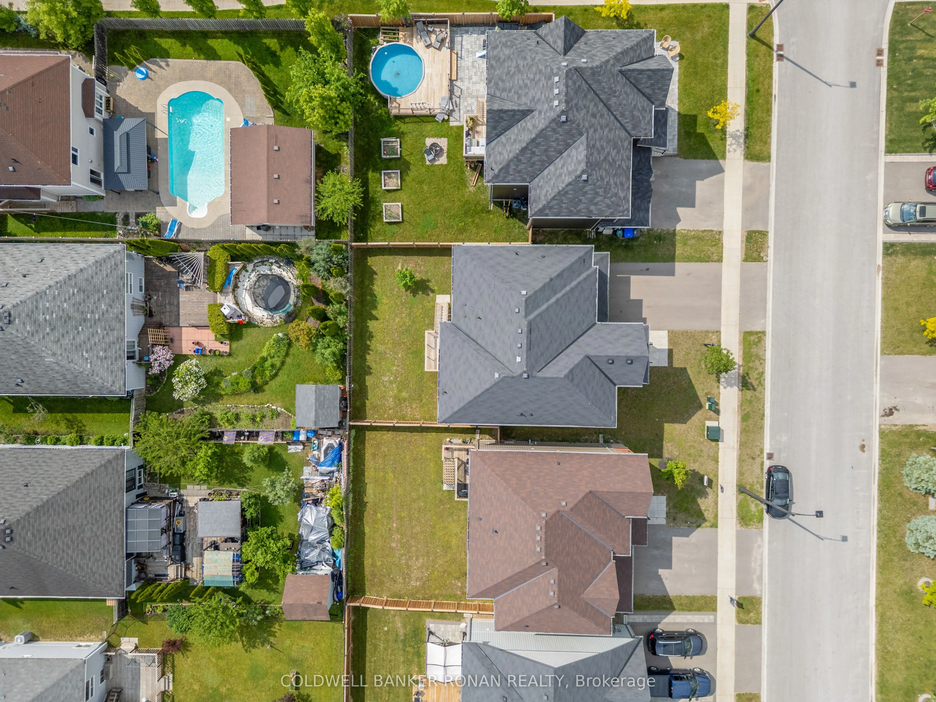 203 Roy Drive