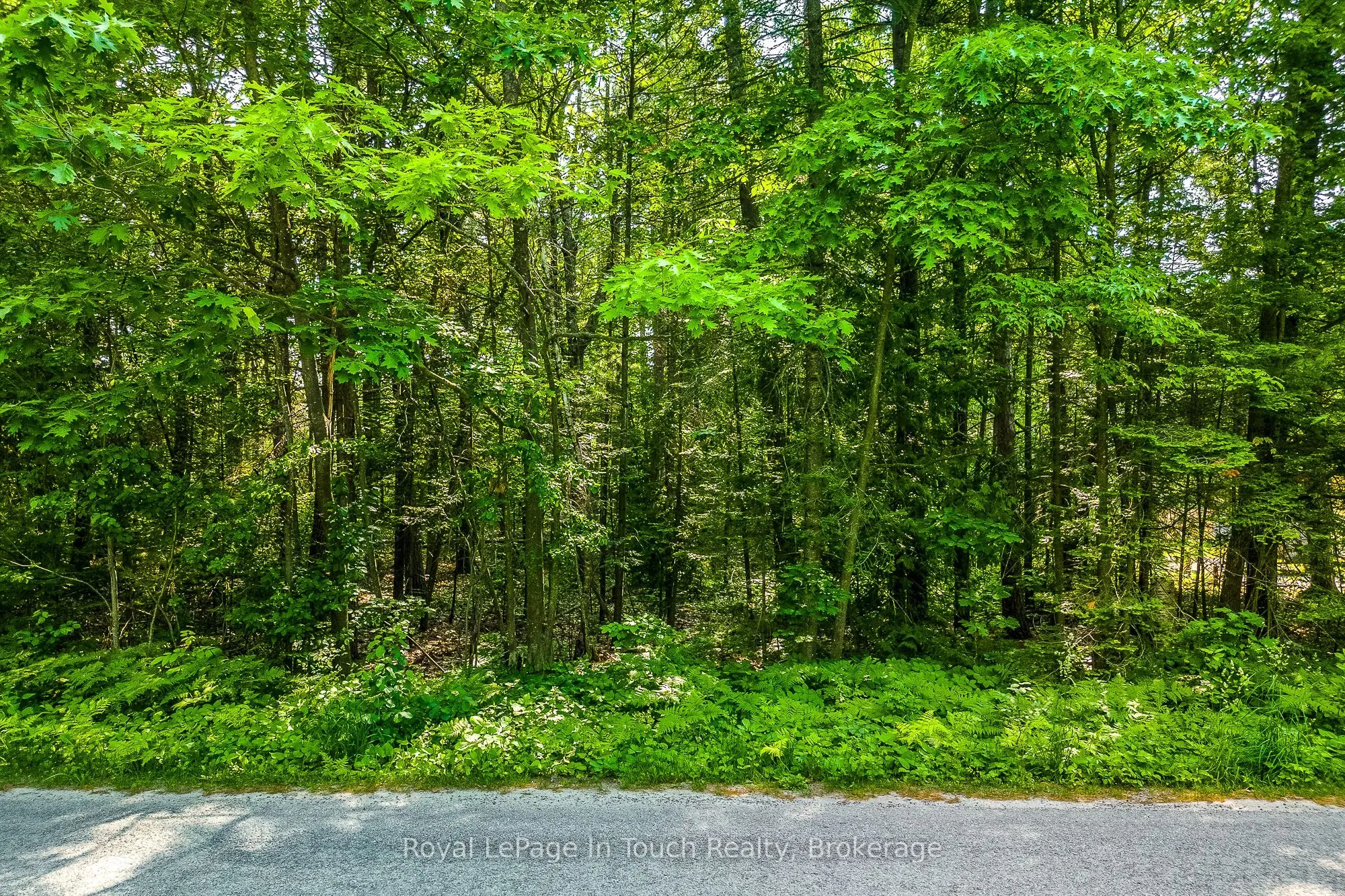 LOT 47 TROUT Lane