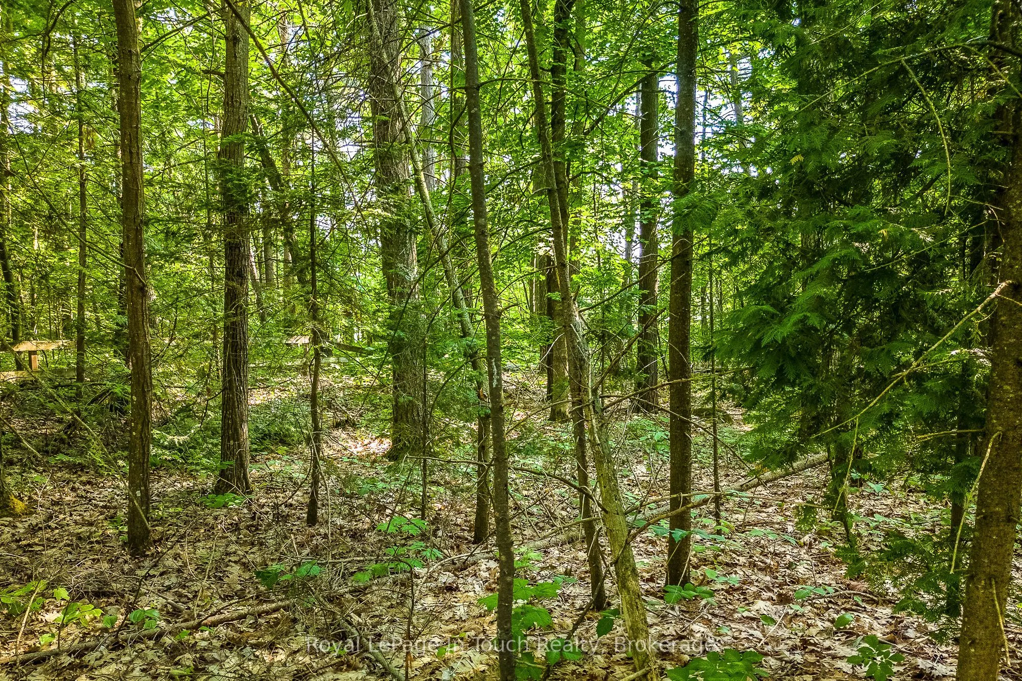 LOT 47 TROUT Lane