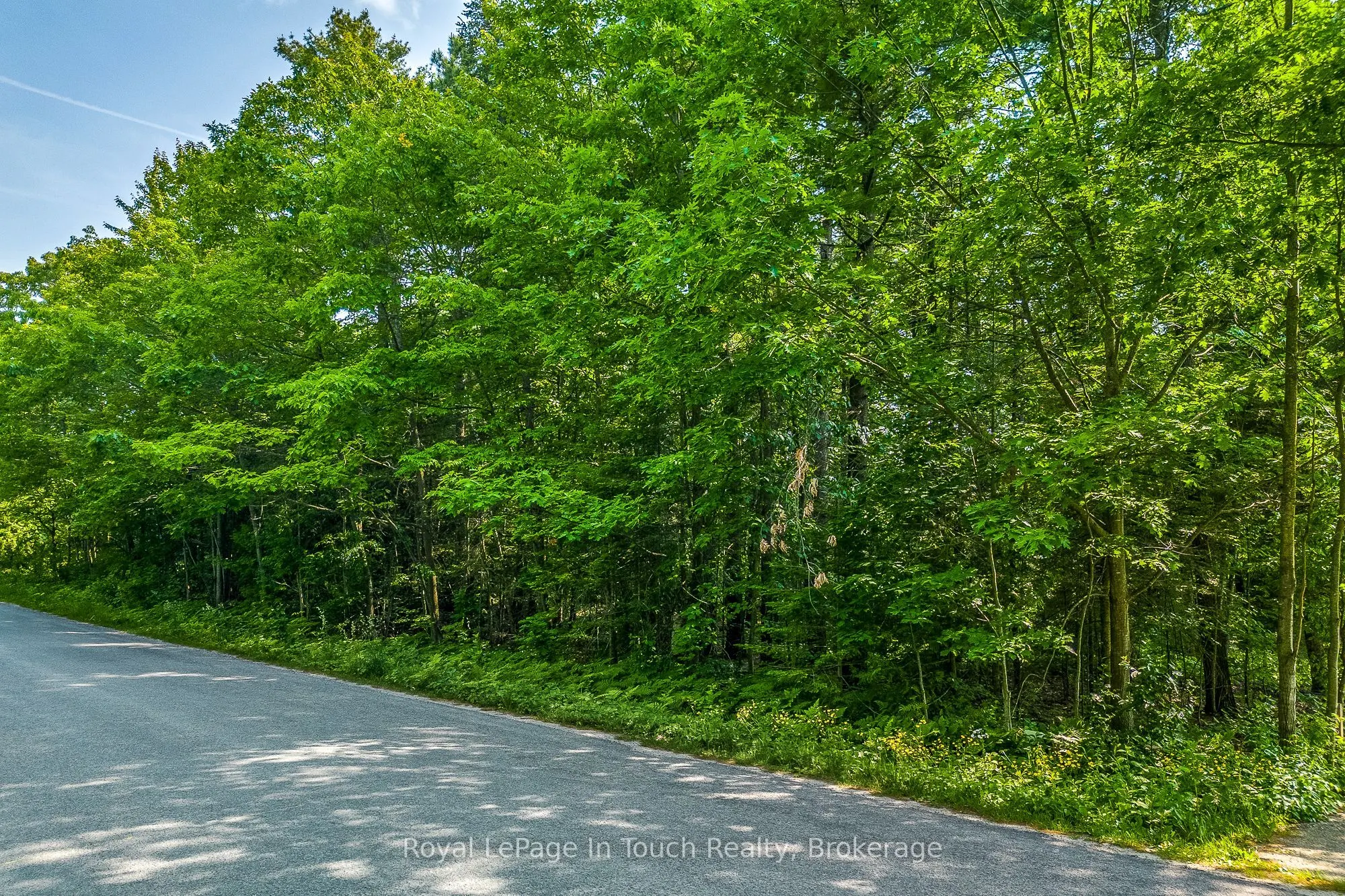 LOT 47 TROUT Lane