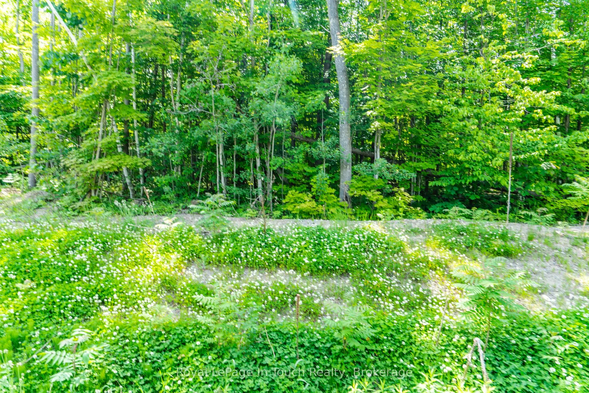 Lot 41 Explorers Landing