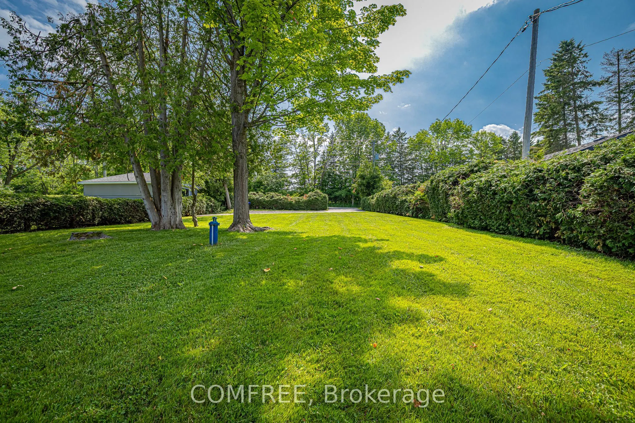 901 Woodland Drive