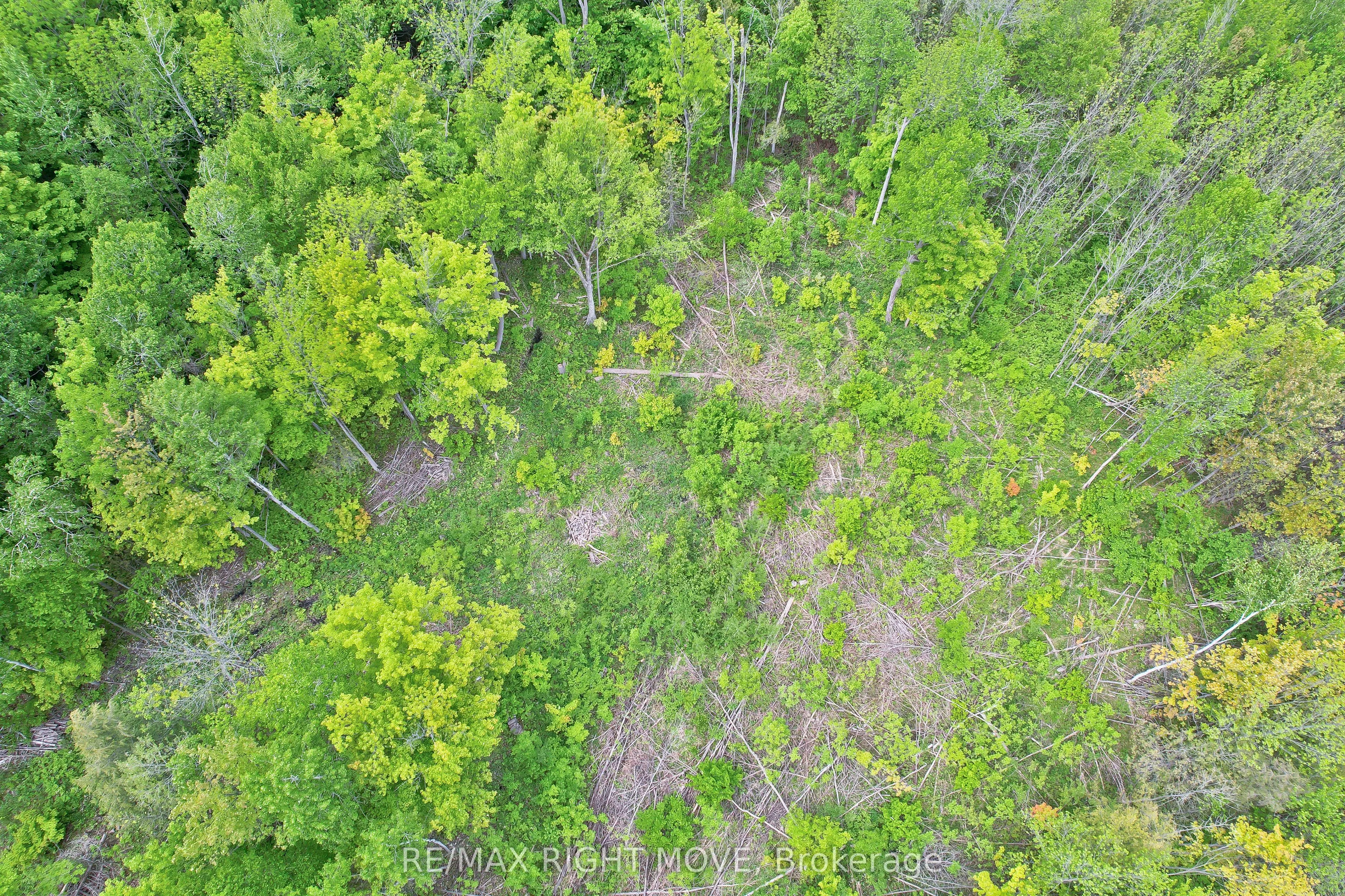 1382 Wilson Point Road